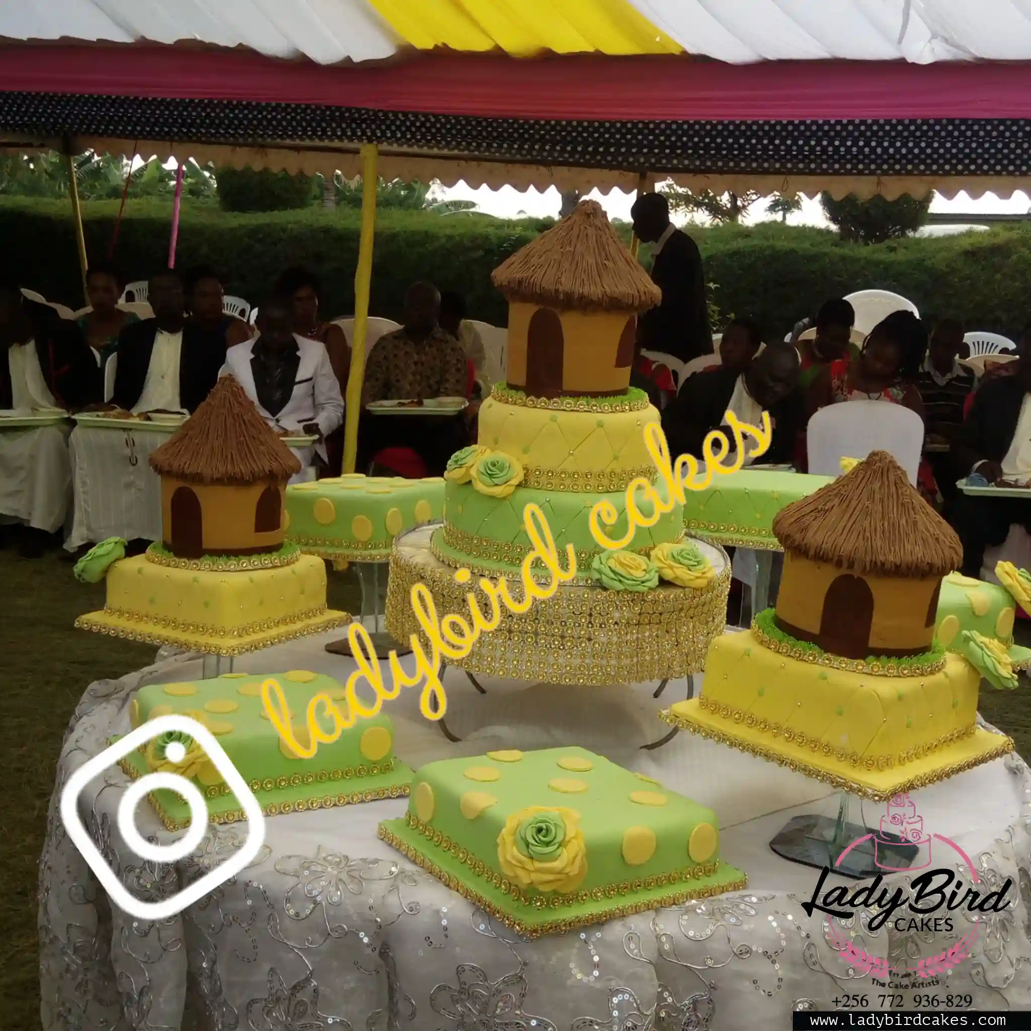 This is a custom cake of Ladybird Cakes Uganda