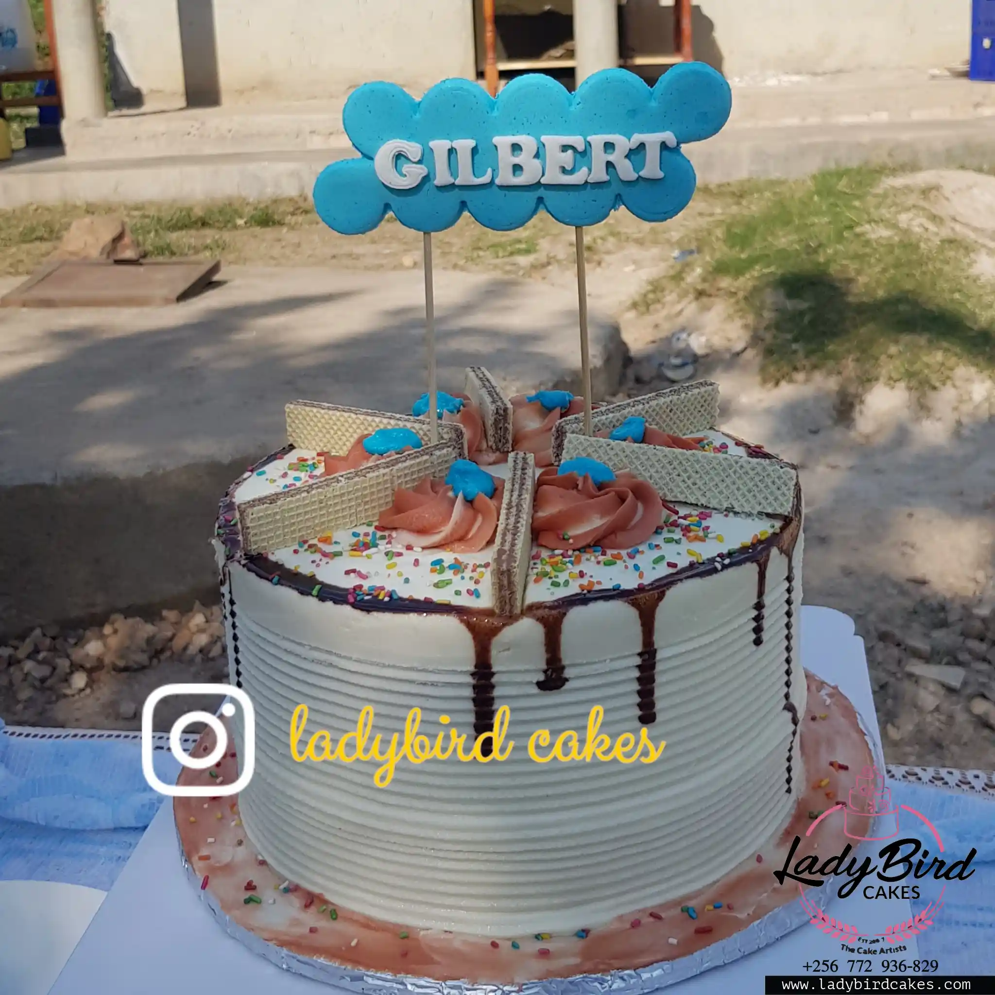 This is a custom cake of Ladybird Cakes Uganda