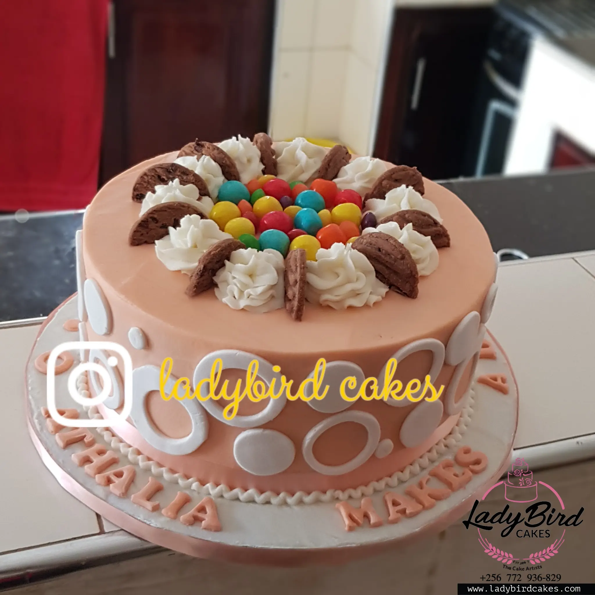 This is a custom cake of Ladybird Cakes Uganda