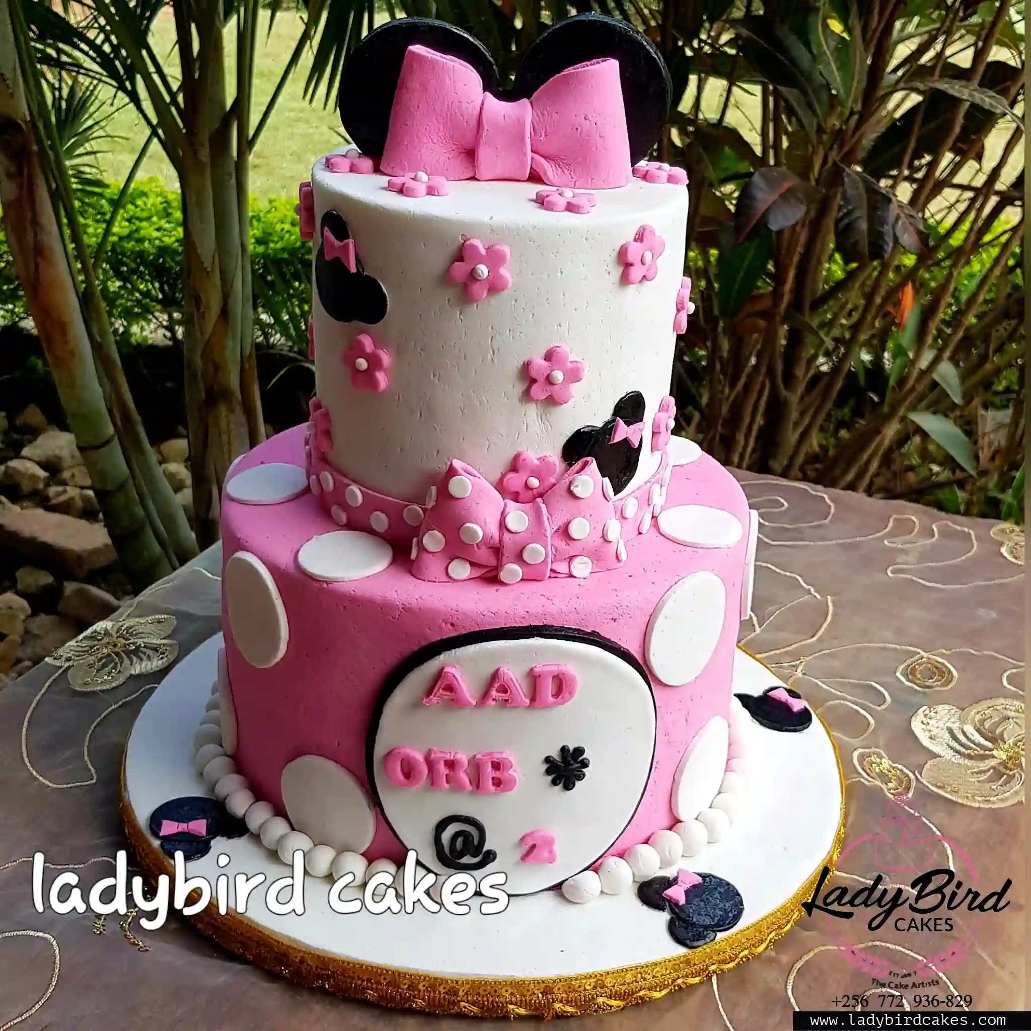 This is a custom cake of Ladybird Cakes Uganda