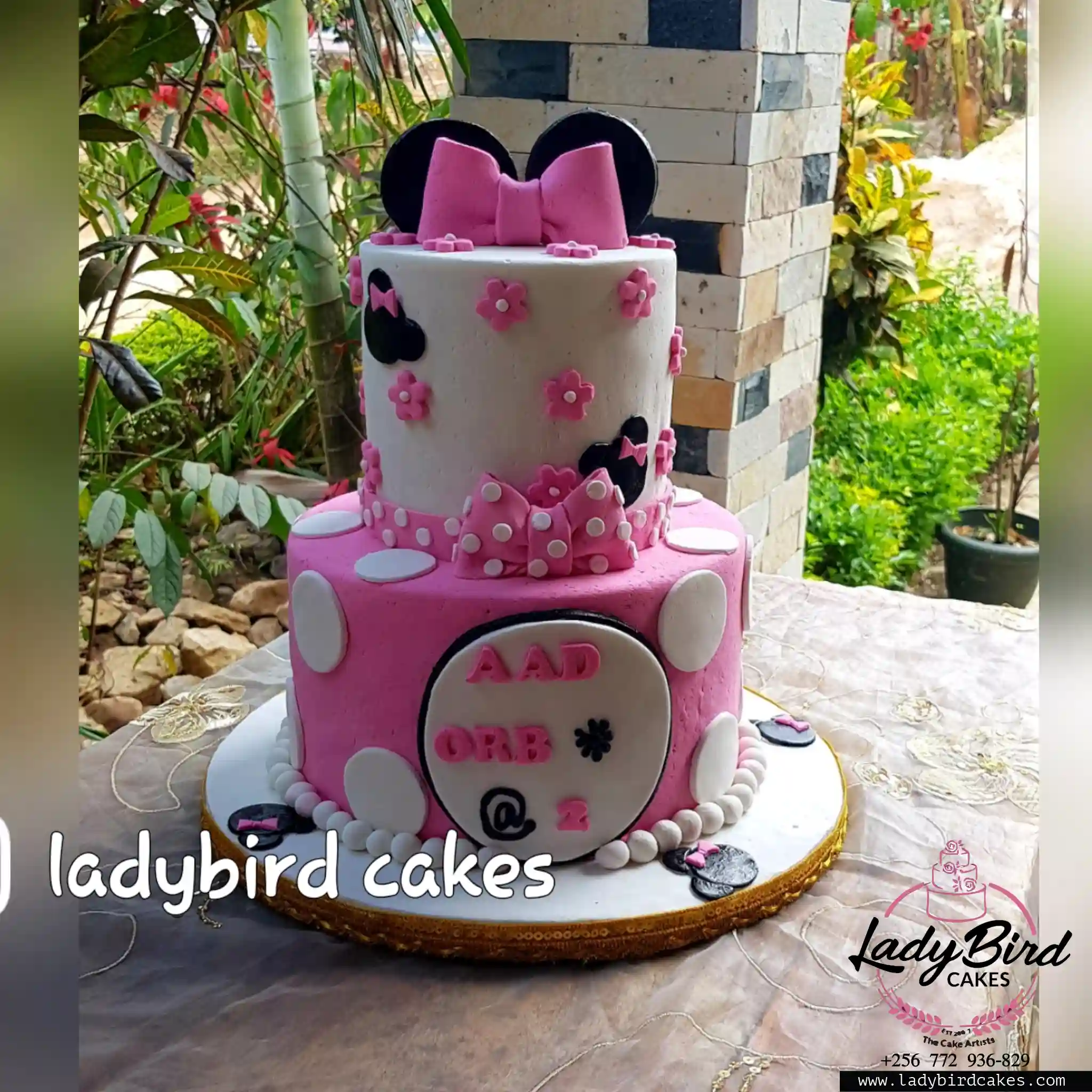 This is a custom cake of Ladybird Cakes Uganda