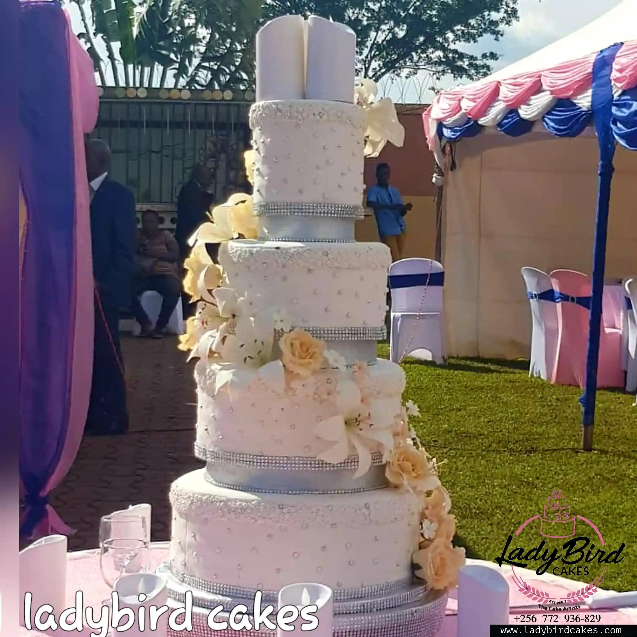 This is a custom cake of Ladybird Cakes Uganda