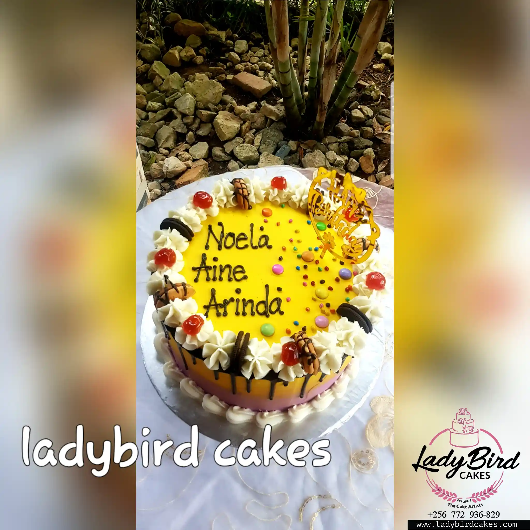 This is a custom cake of Ladybird Cakes Uganda