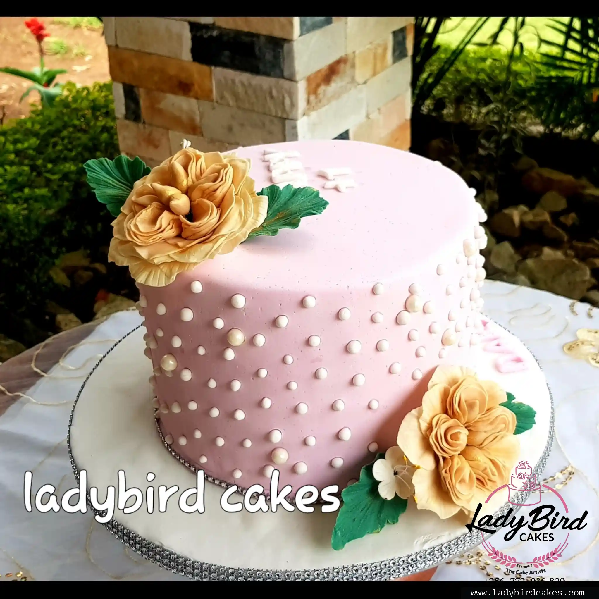 This is a custom cake of Ladybird Cakes Uganda