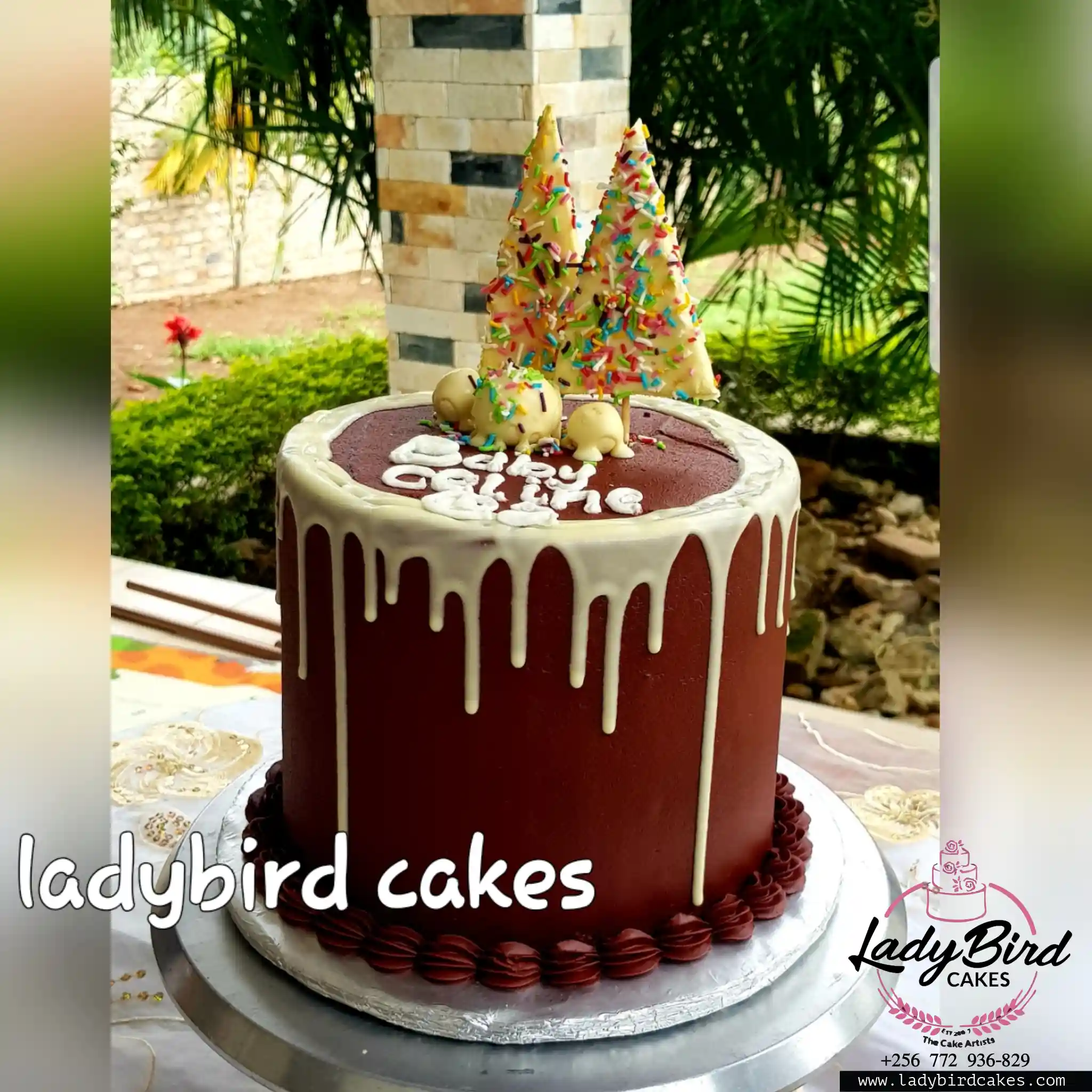 This is a custom cake of Ladybird Cakes Uganda