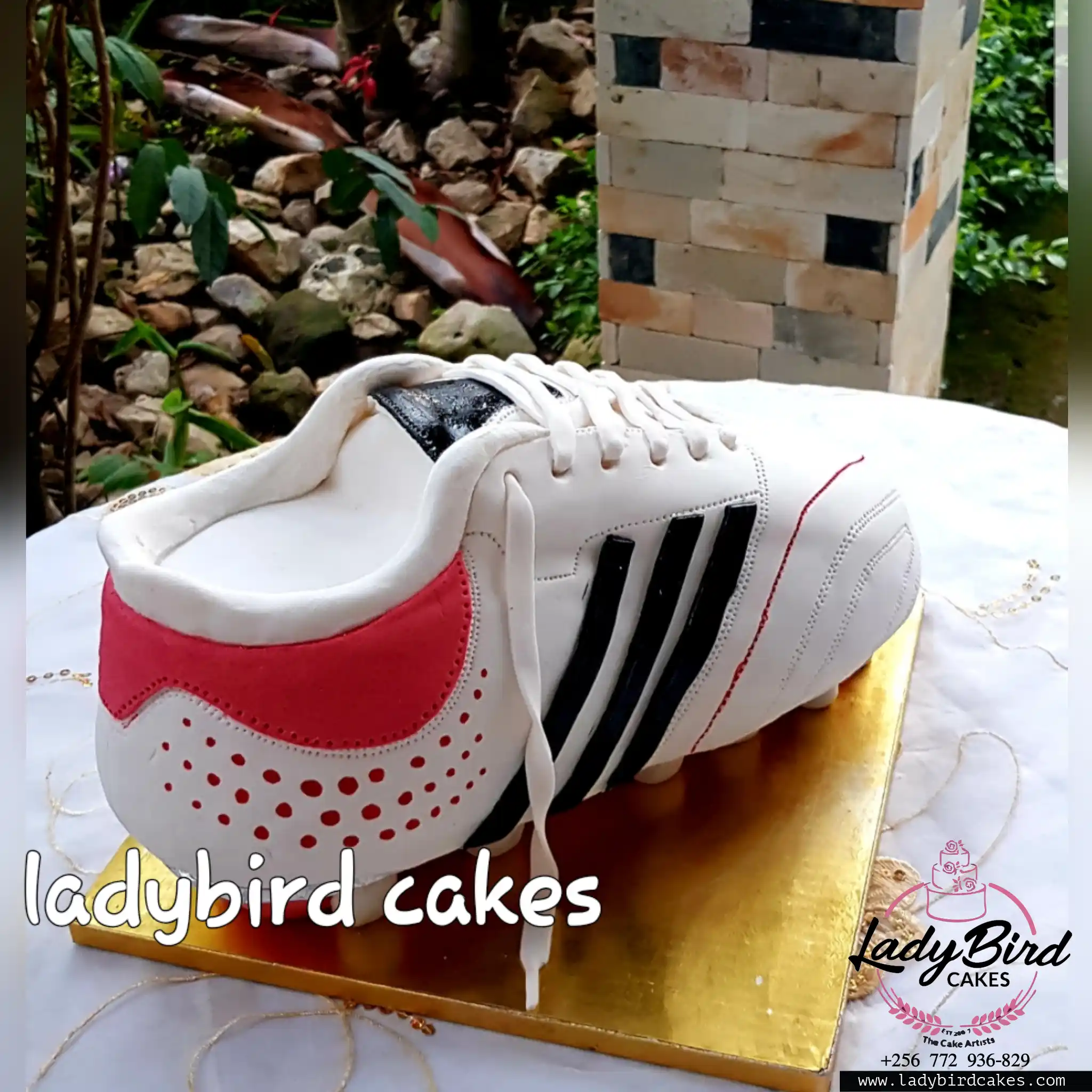 This is a custom cake of Ladybird Cakes Uganda