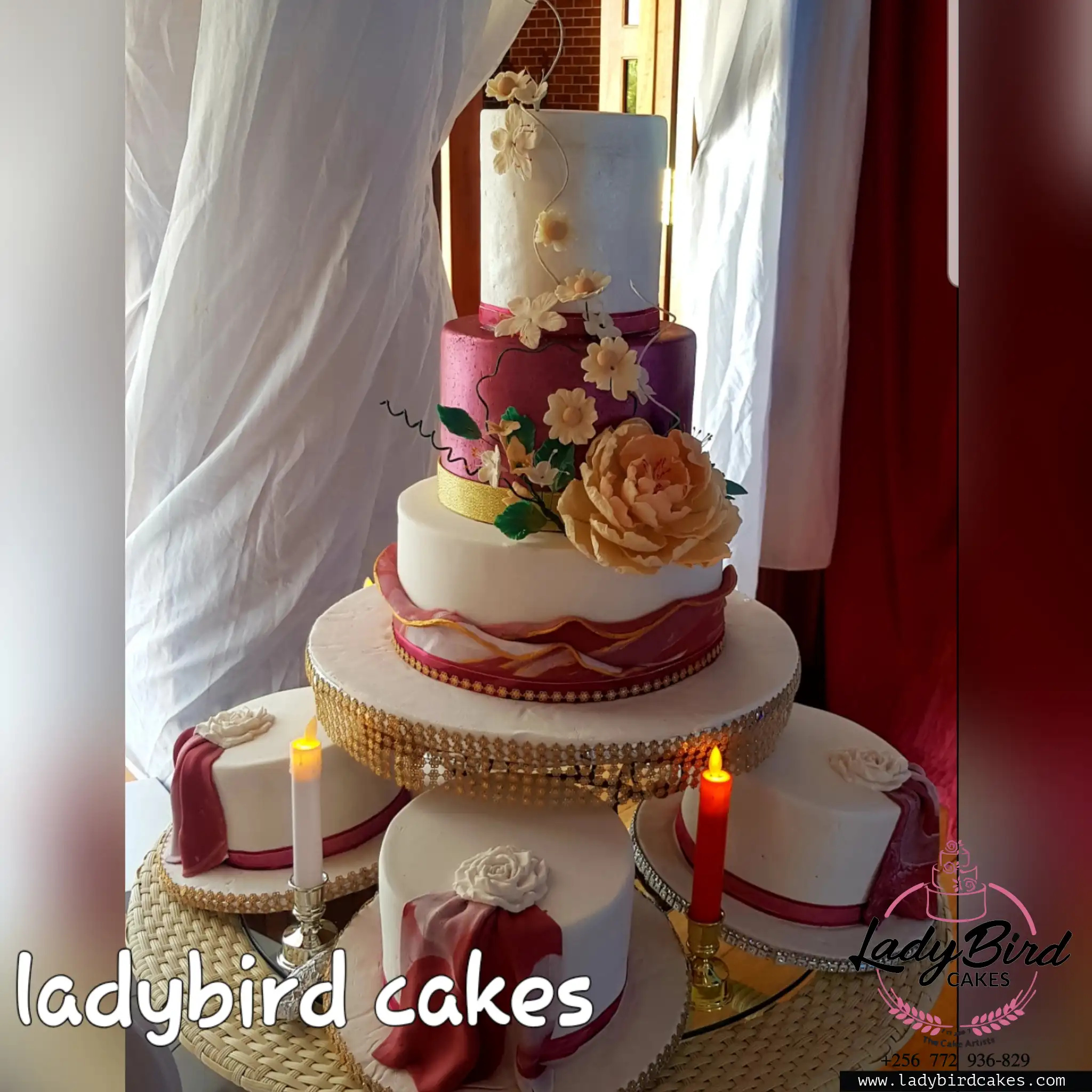 This is a custom cake of Ladybird Cakes Uganda