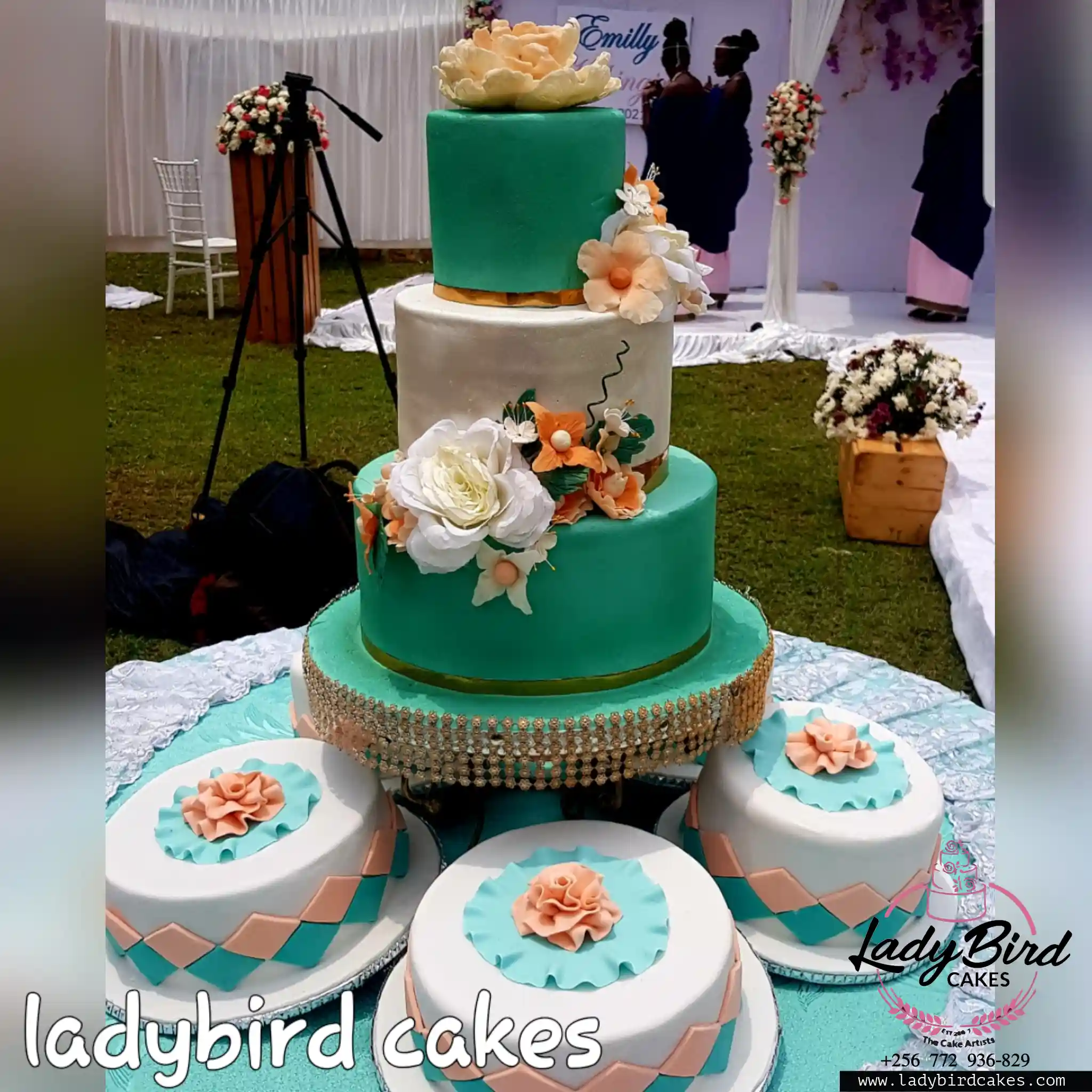 This is a custom cake of Ladybird Cakes Uganda