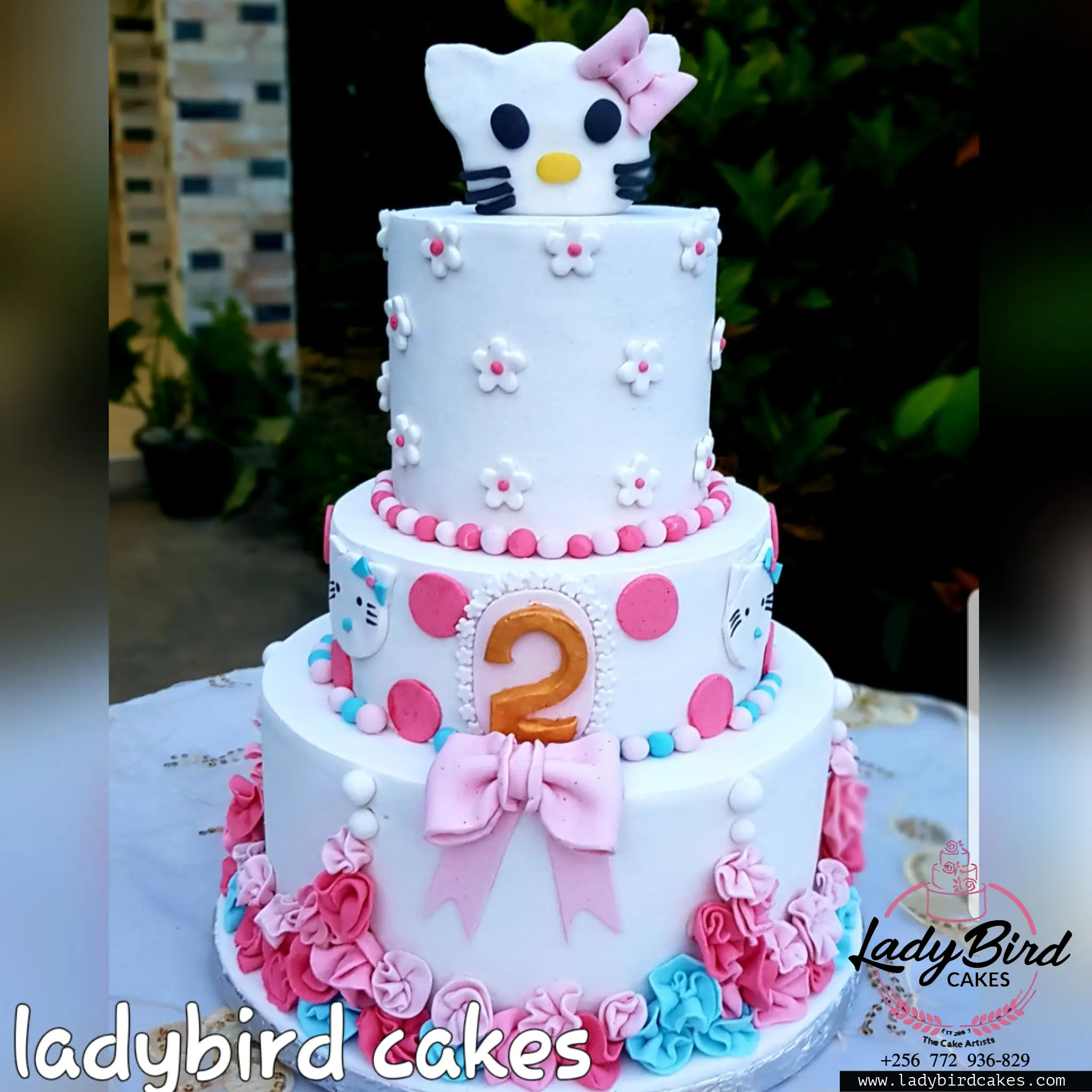 This is a custom cake of Ladybird Cakes Uganda