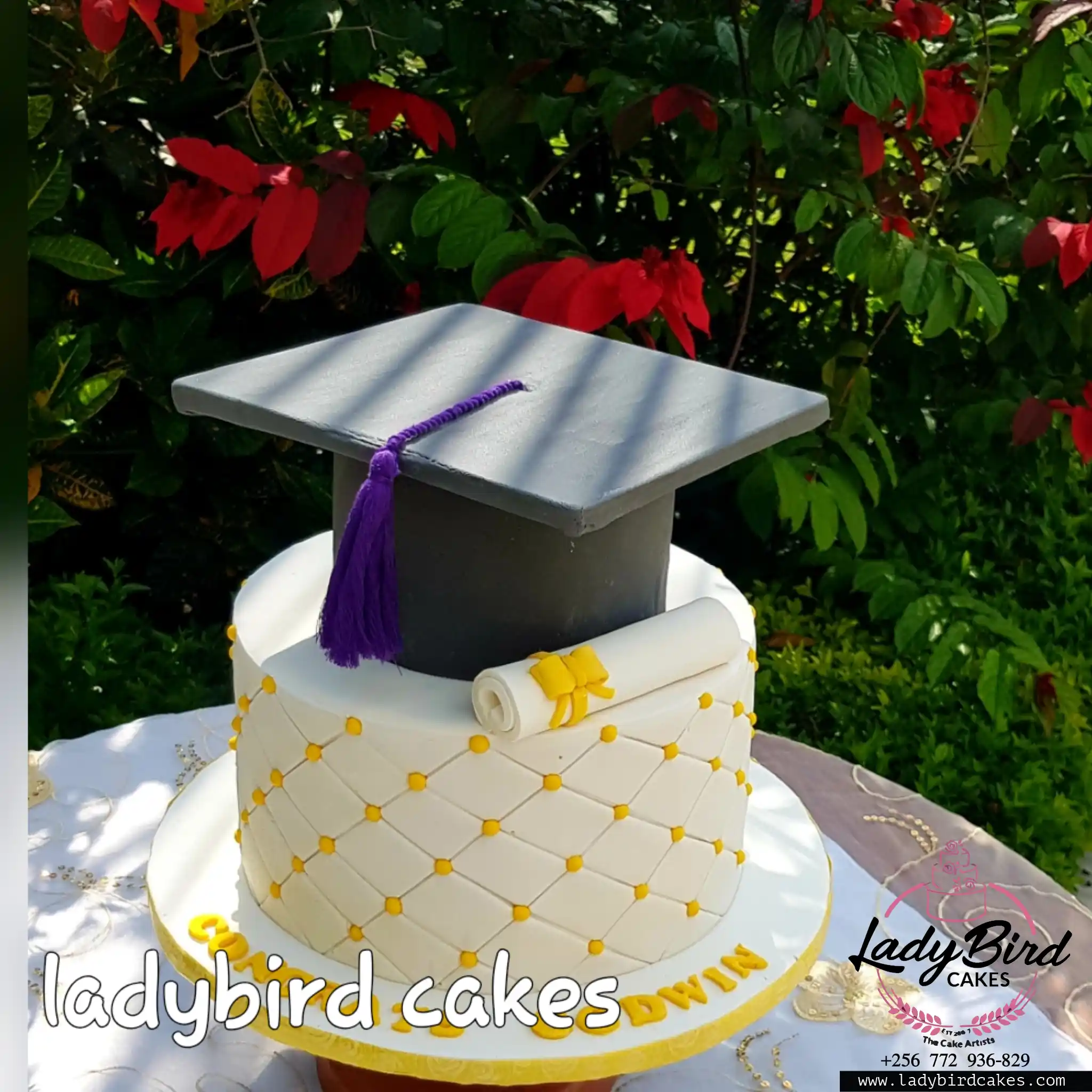 This is a custom cake of Ladybird Cakes Uganda