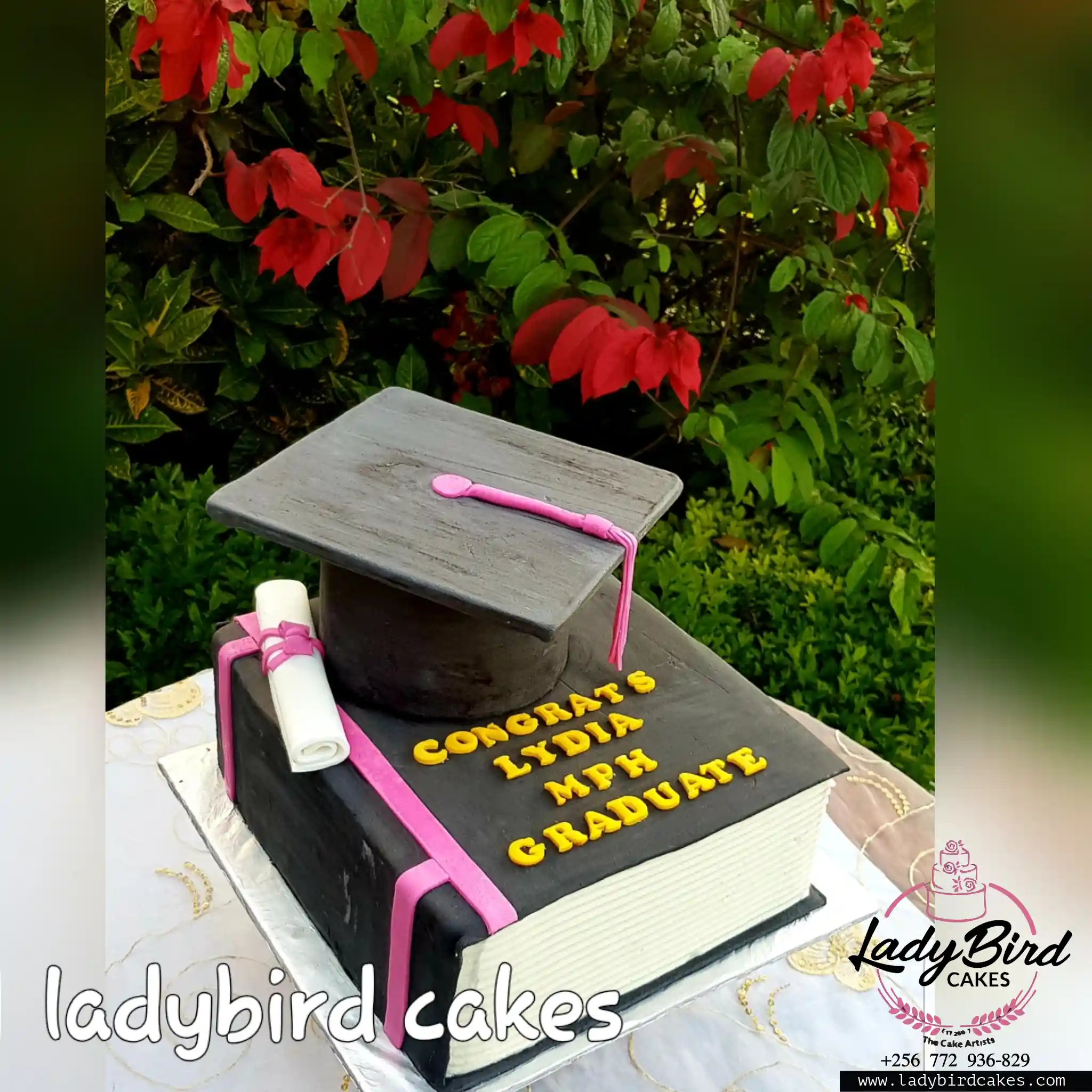 This is a custom cake of Ladybird Cakes Uganda