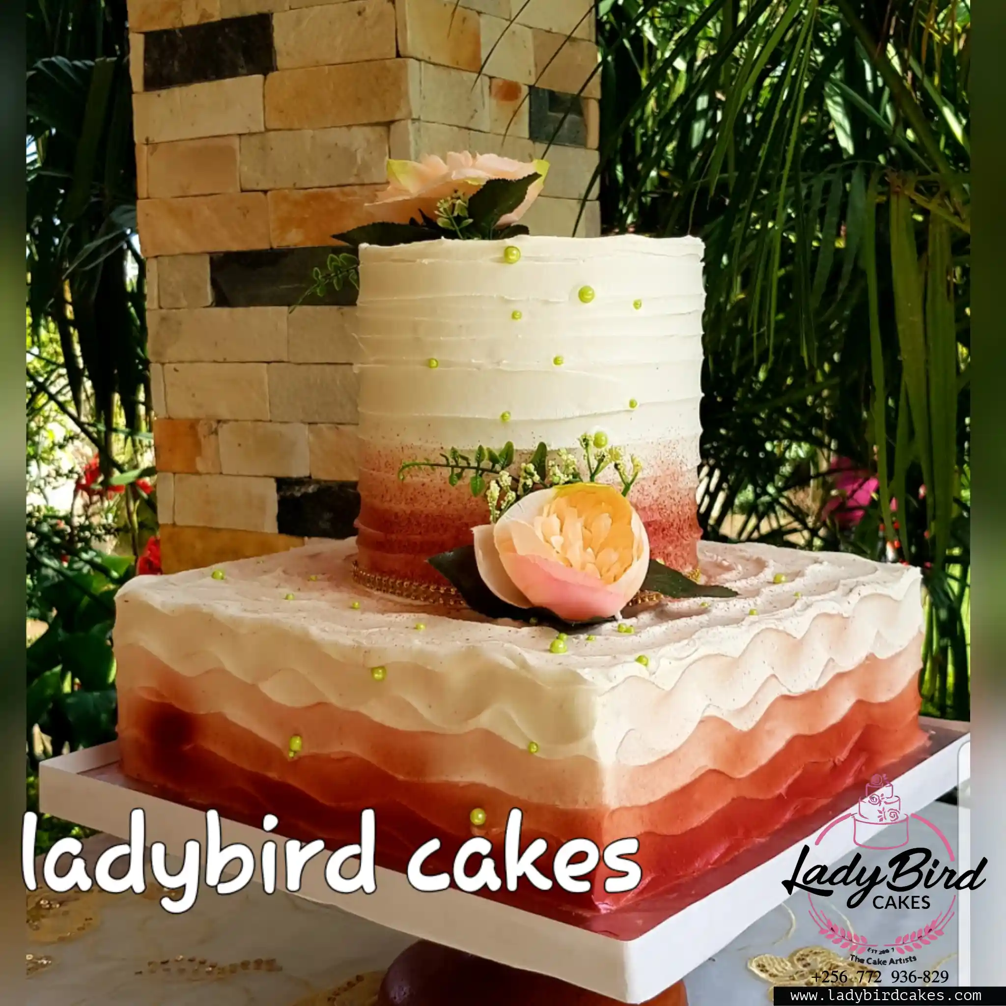 This is a custom cake of Ladybird Cakes Uganda