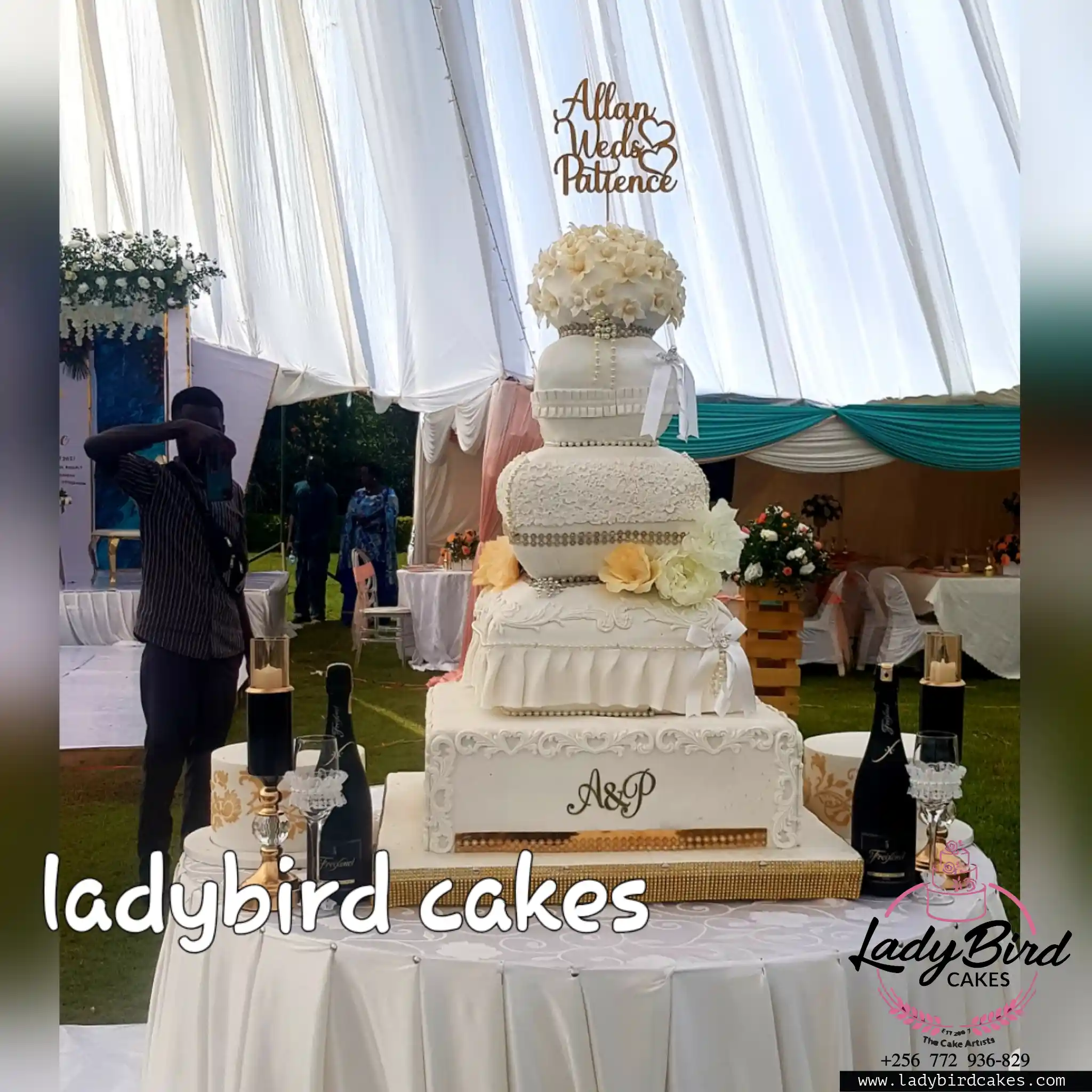 This is a custom cake of Ladybird Cakes Uganda