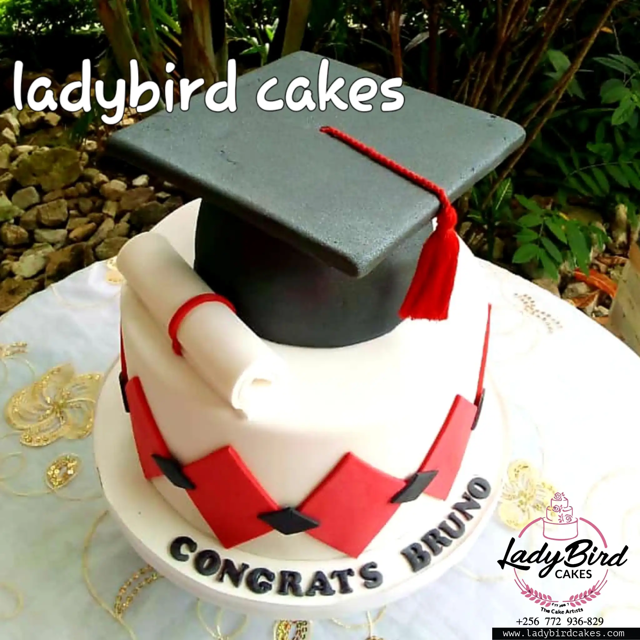 This is a custom cake of Ladybird Cakes Uganda