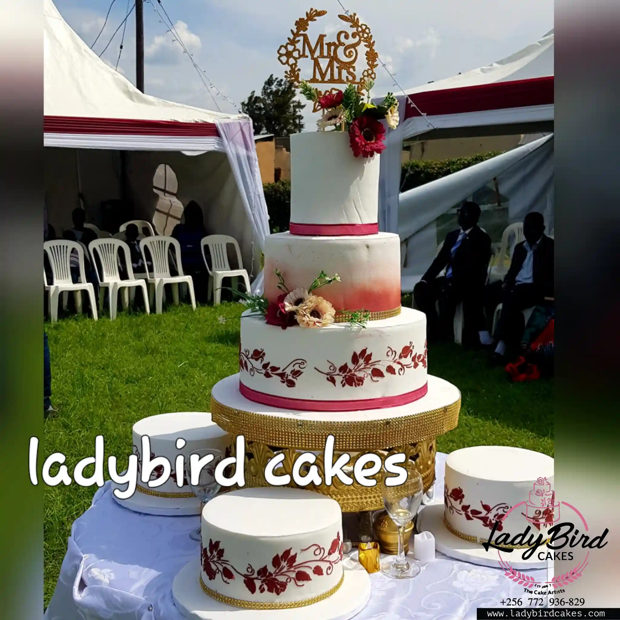 This is a custom cake of Ladybird Cakes Uganda