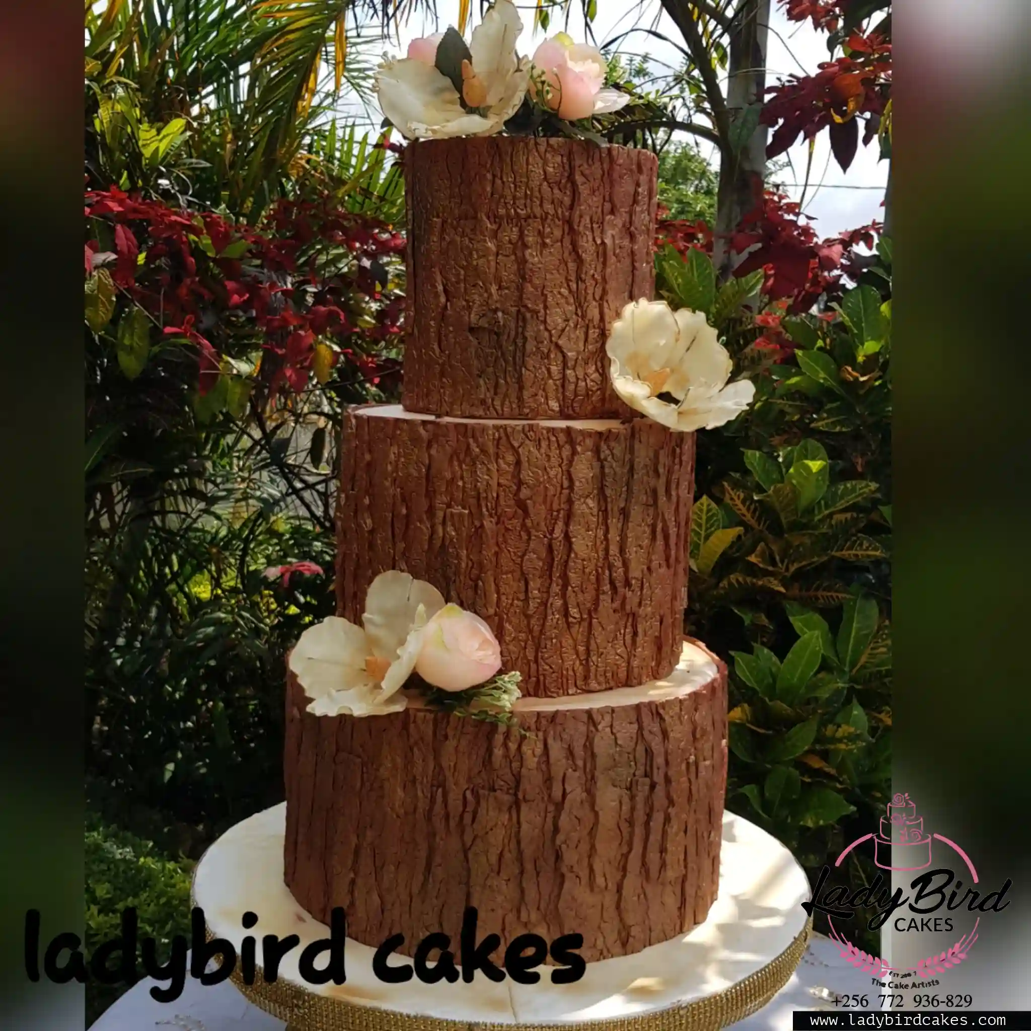 This is a custom cake of Ladybird Cakes Uganda