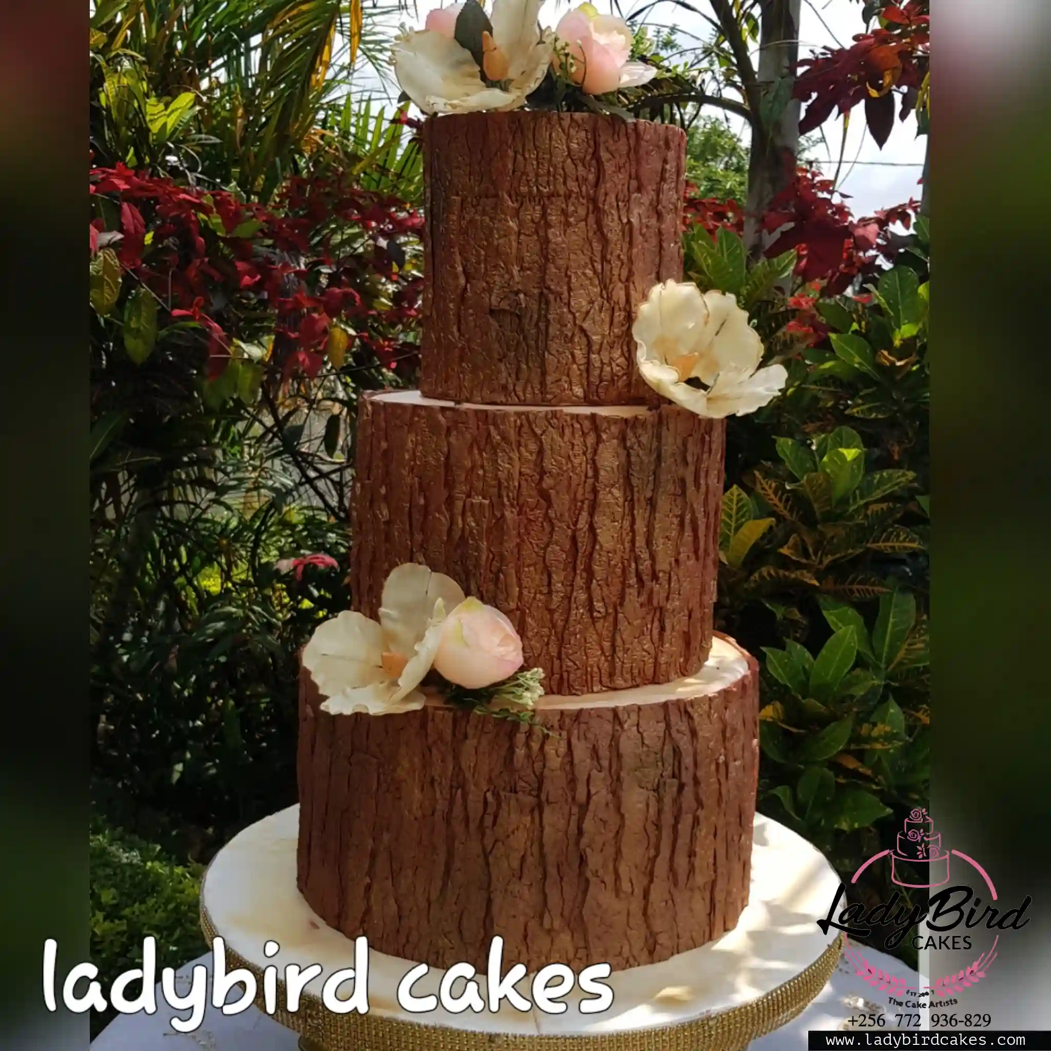 This is a custom cake of Ladybird Cakes Uganda