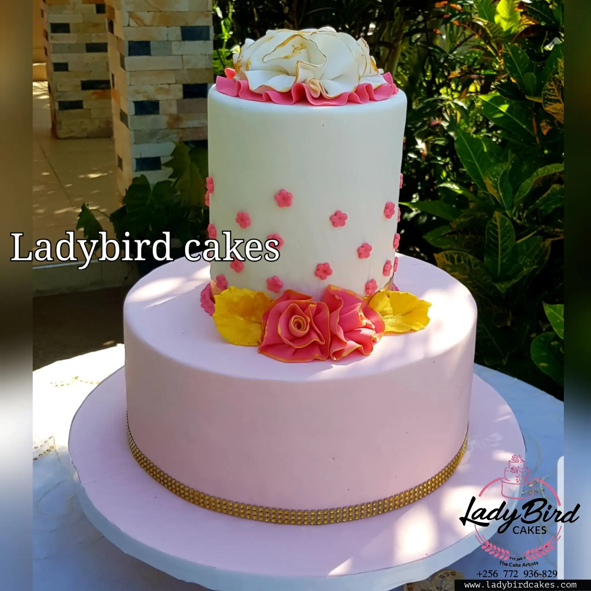 This is a custom cake of Ladybird Cakes Uganda