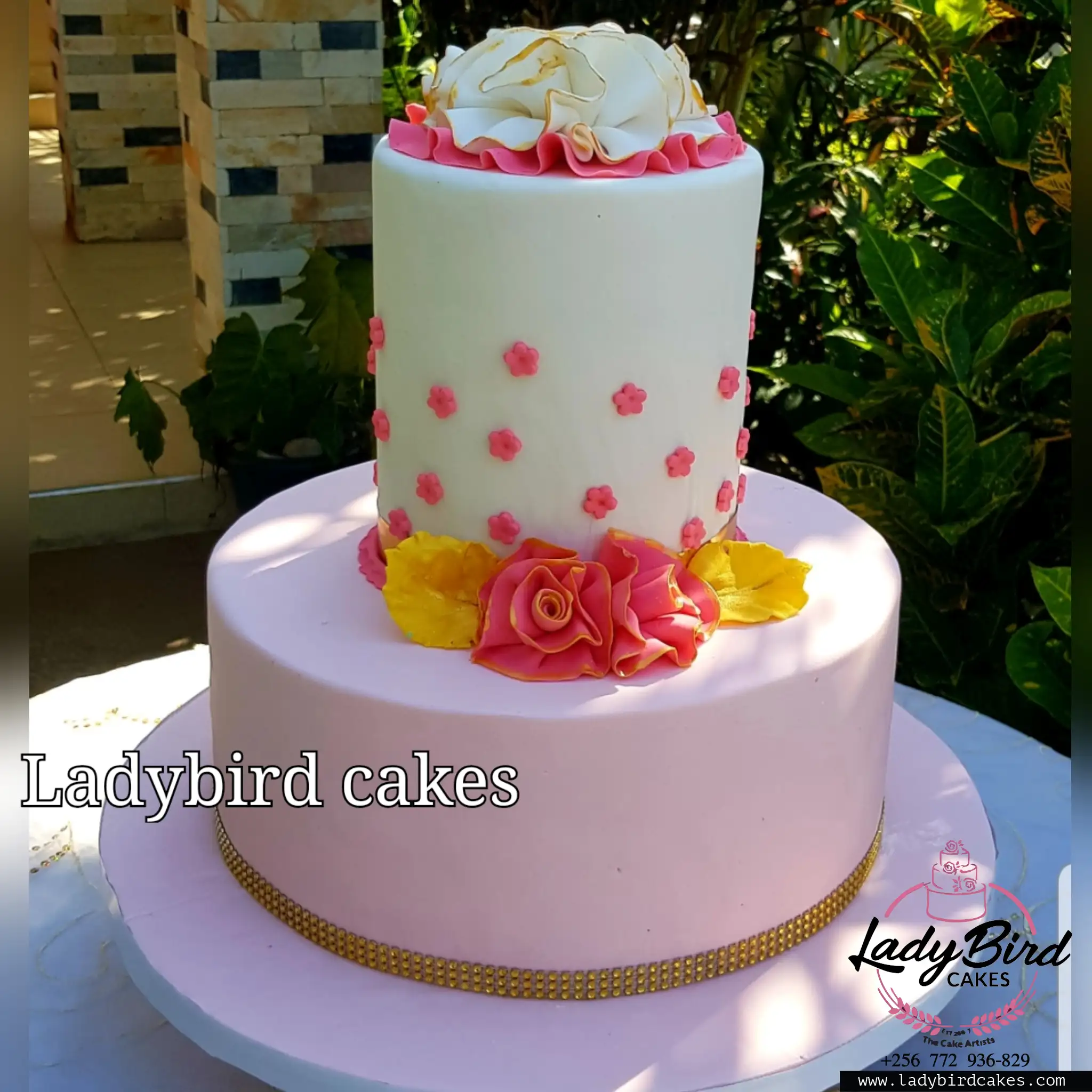 This is a custom cake of Ladybird Cakes Uganda