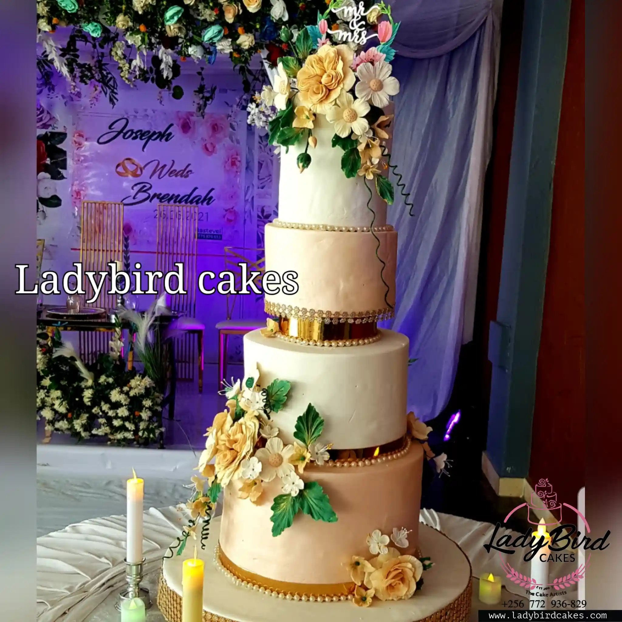 This is a custom cake of Ladybird Cakes Uganda