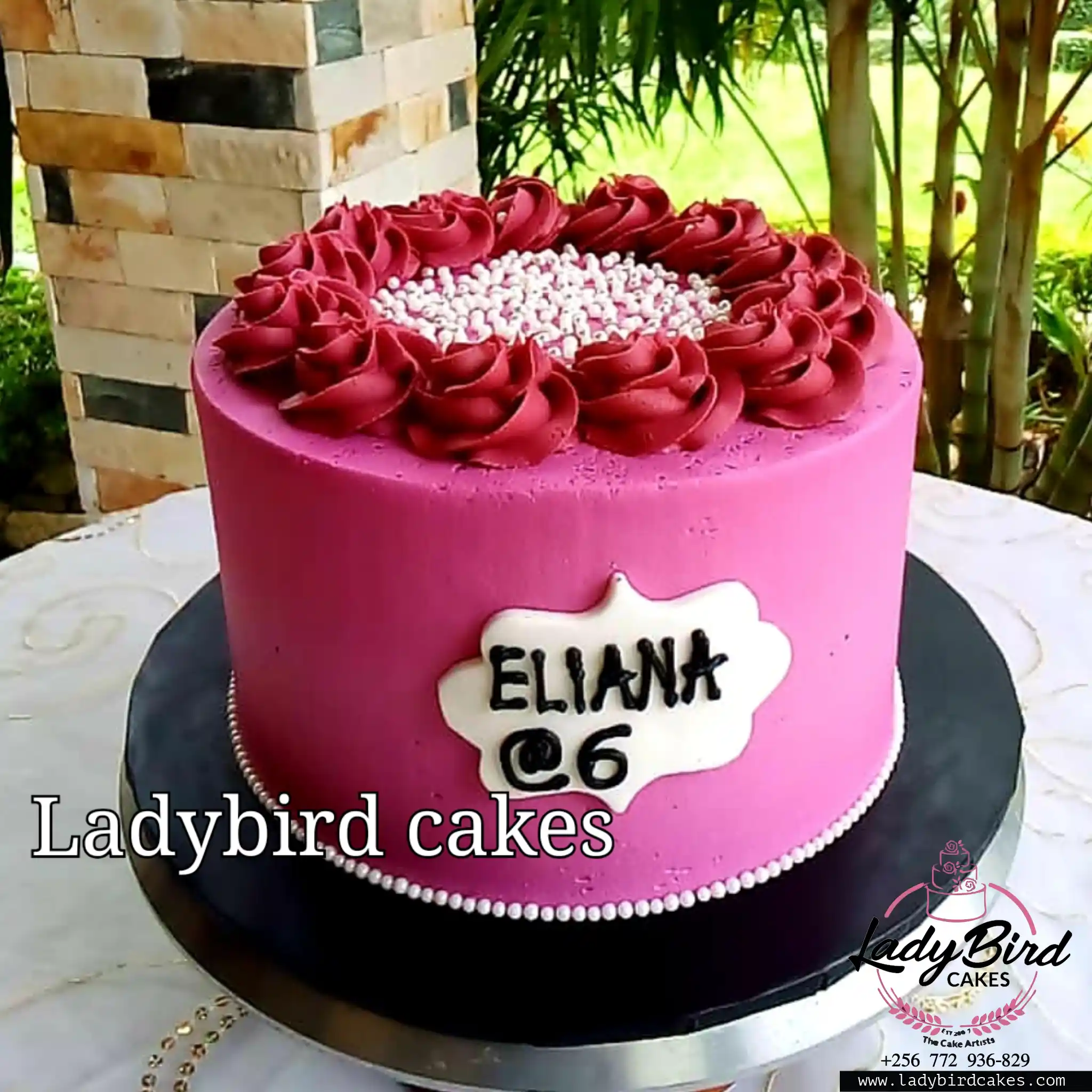 This is a custom cake of Ladybird Cakes Uganda