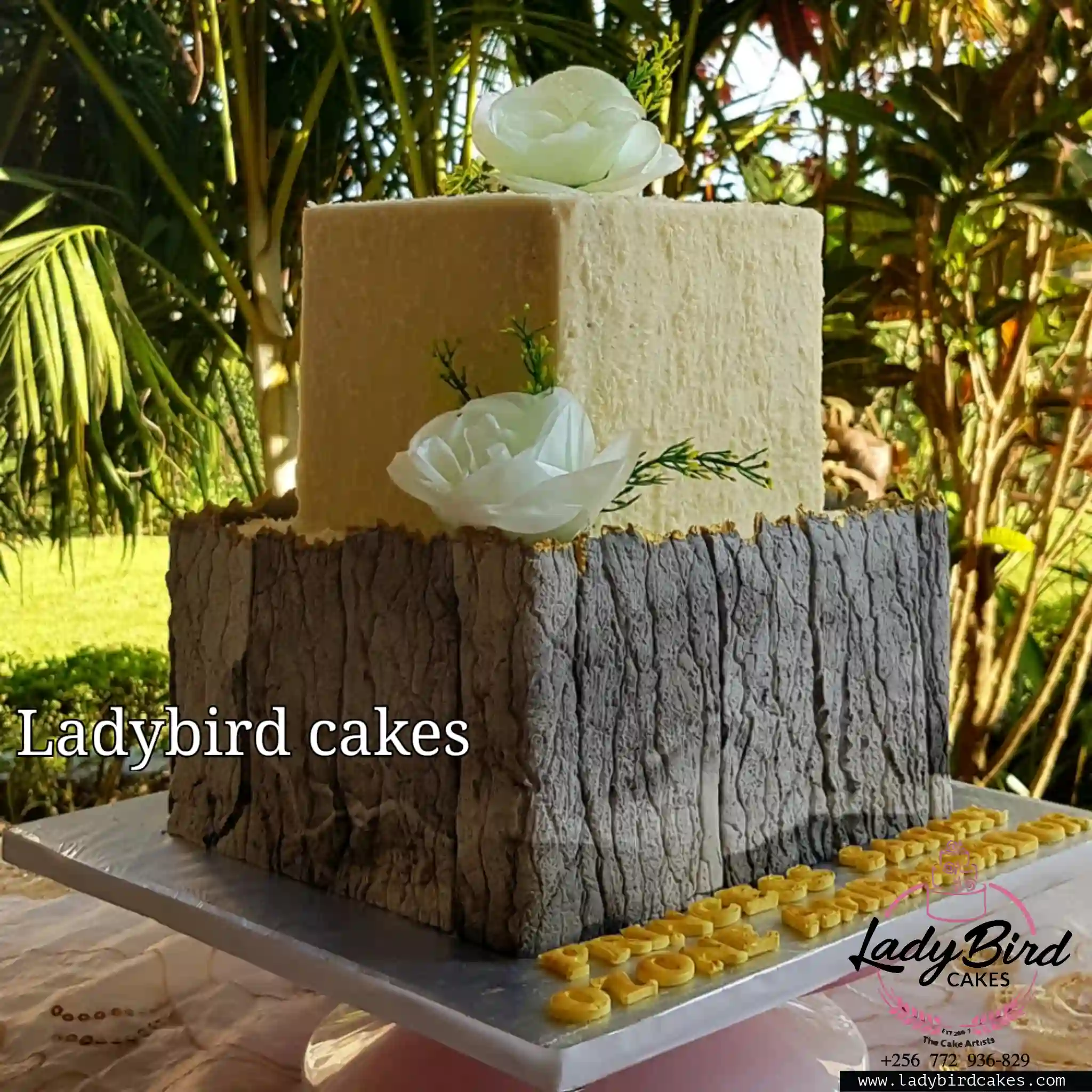 This is a custom cake of Ladybird Cakes Uganda