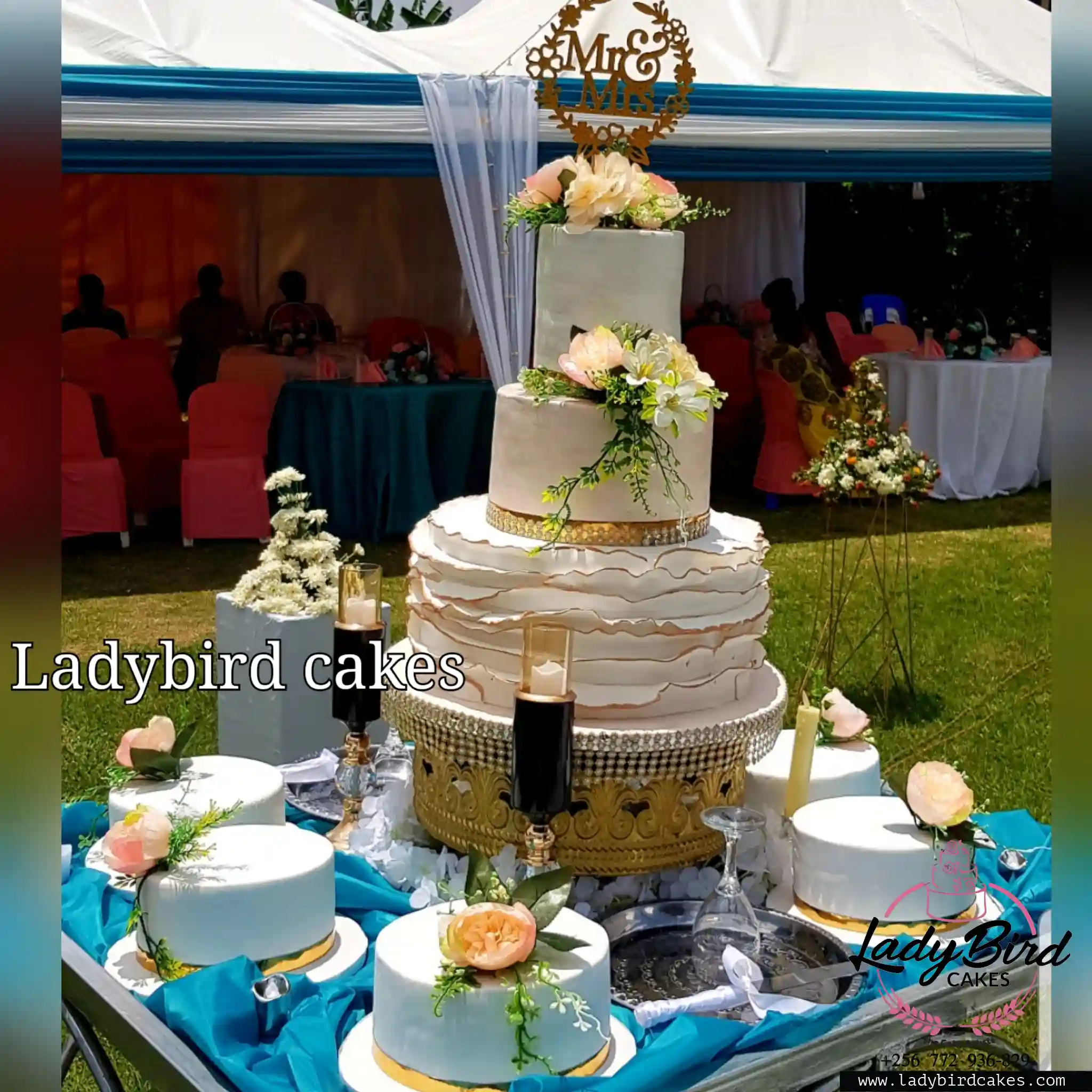 This is a custom cake of Ladybird Cakes Uganda