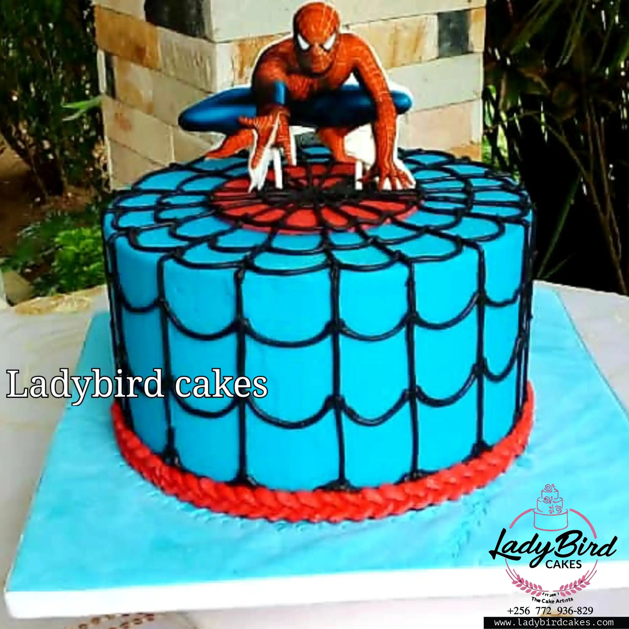 This is a custom cake of Ladybird Cakes Uganda