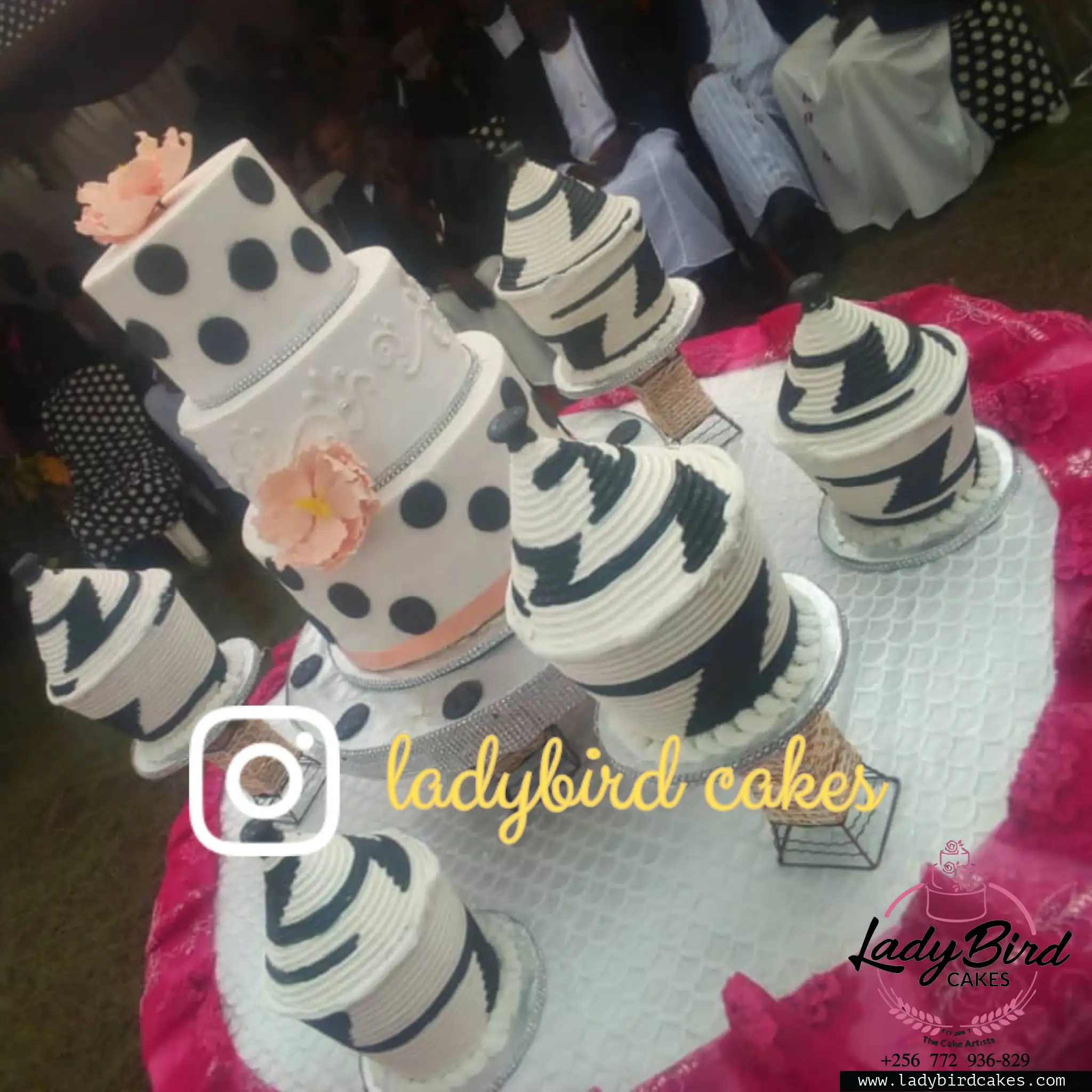 This is a custom cake of Ladybird Cakes Uganda