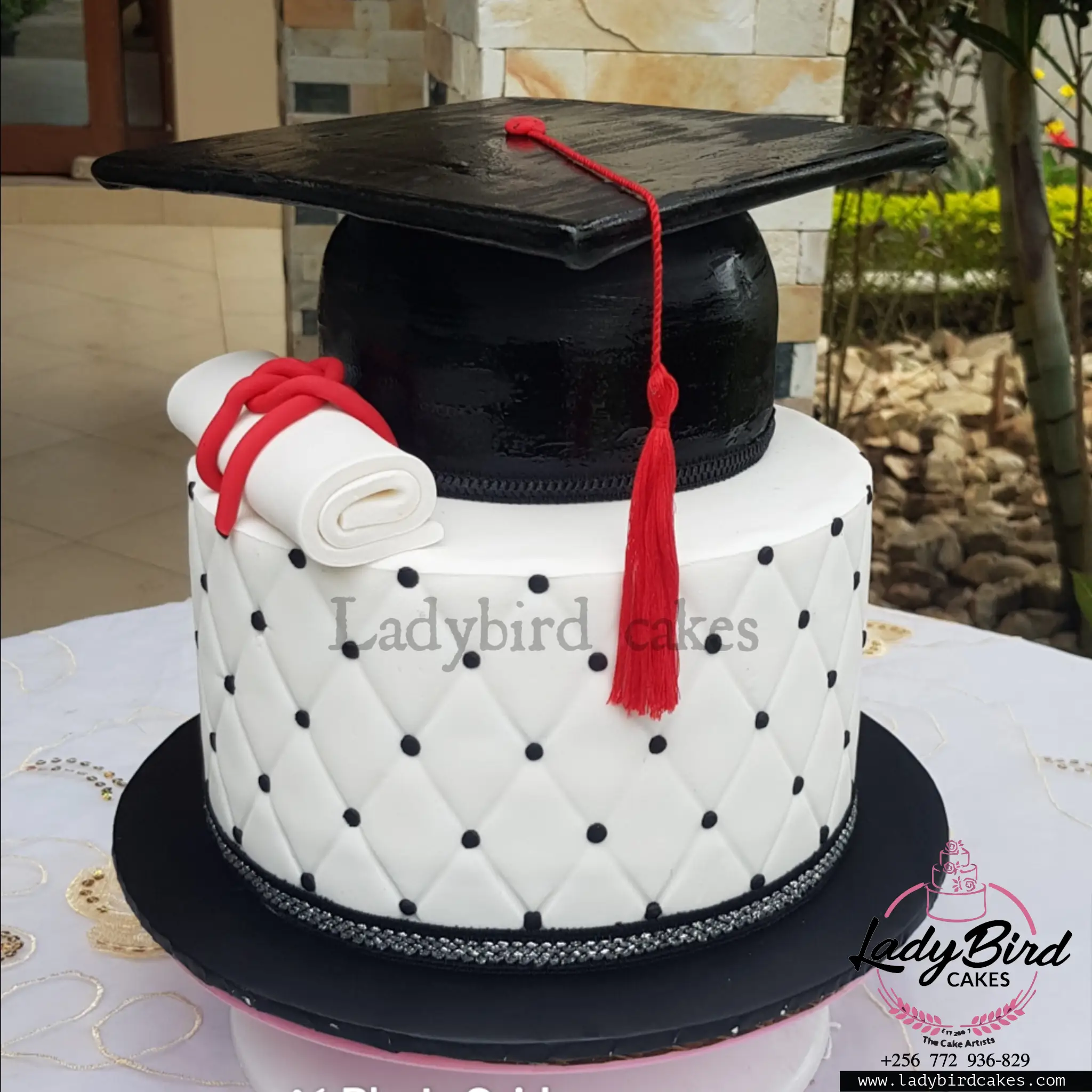 This is a custom cake of Ladybird Cakes Uganda