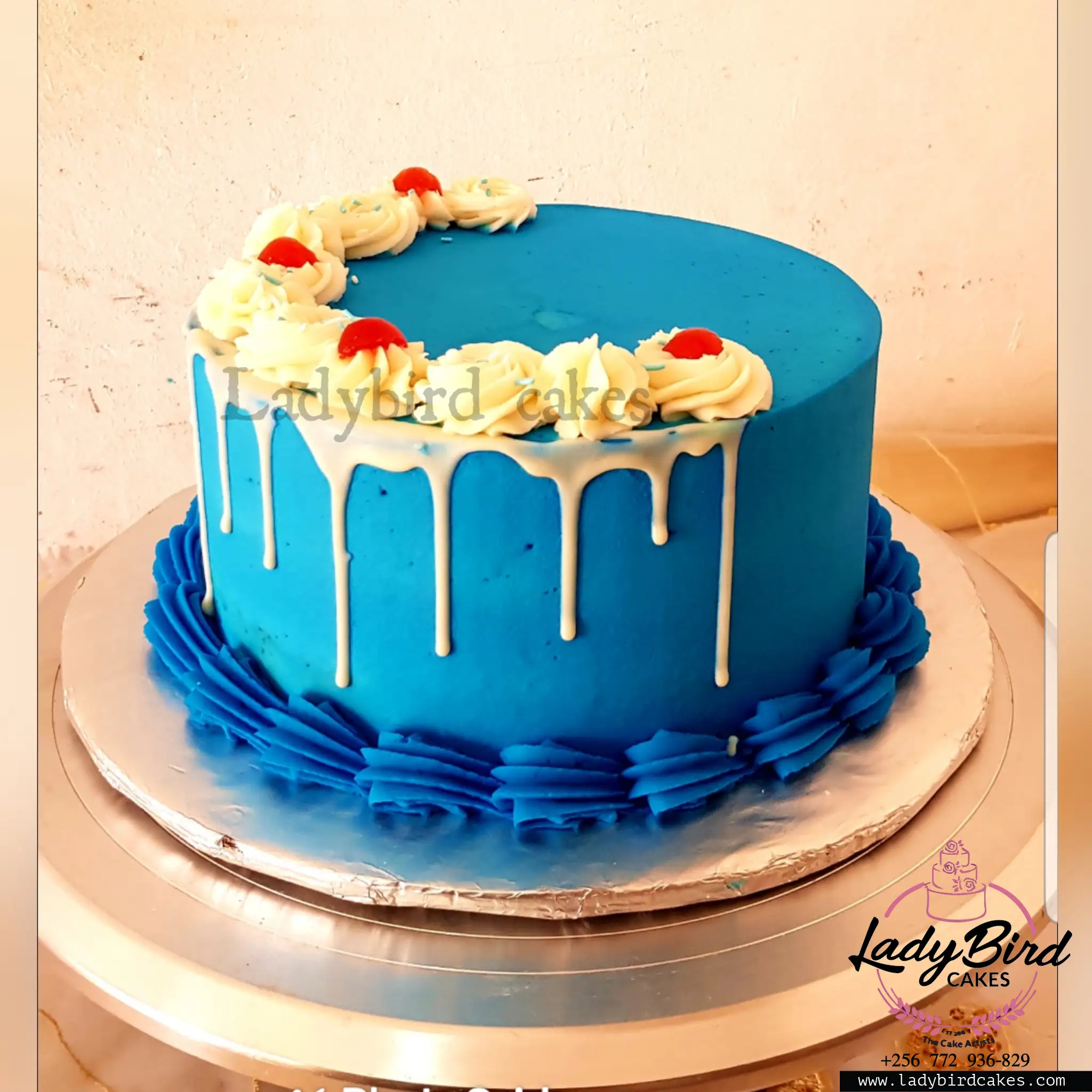 This is a custom cake of Ladybird Cakes Uganda