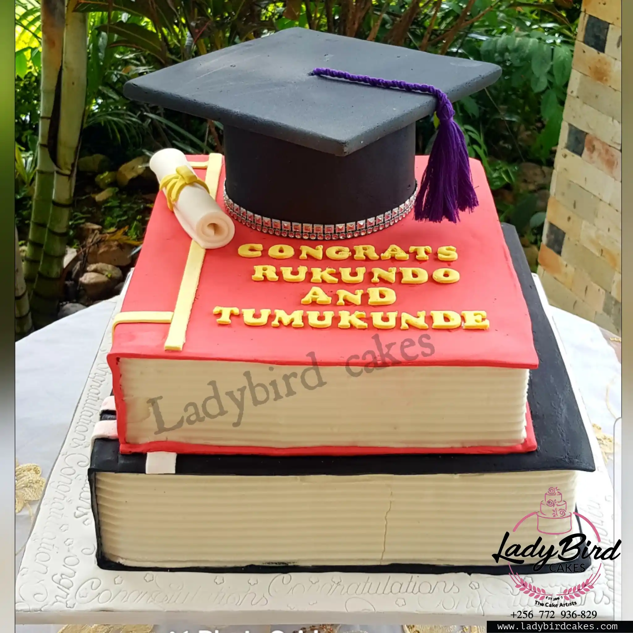 This is a custom cake of Ladybird Cakes Uganda