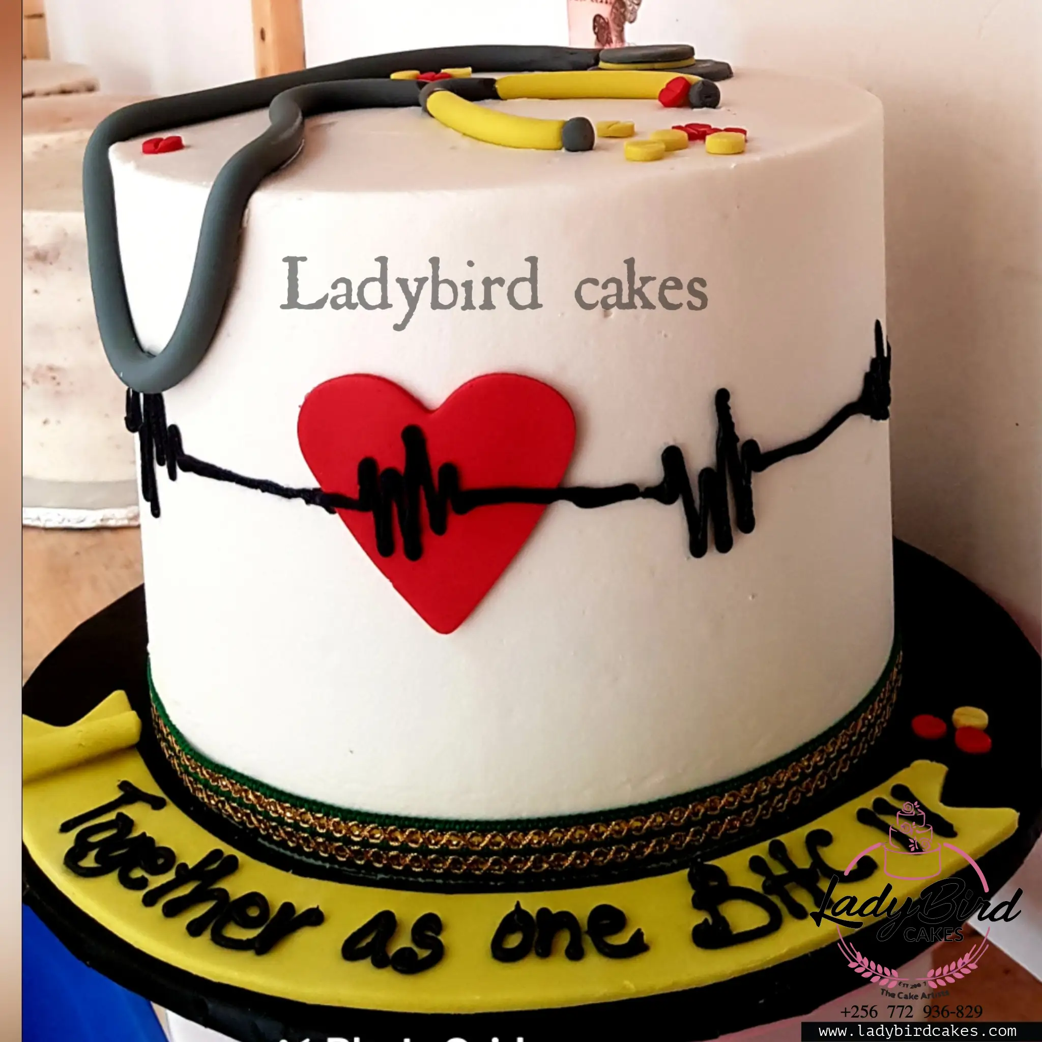 This is a custom cake of Ladybird Cakes Uganda