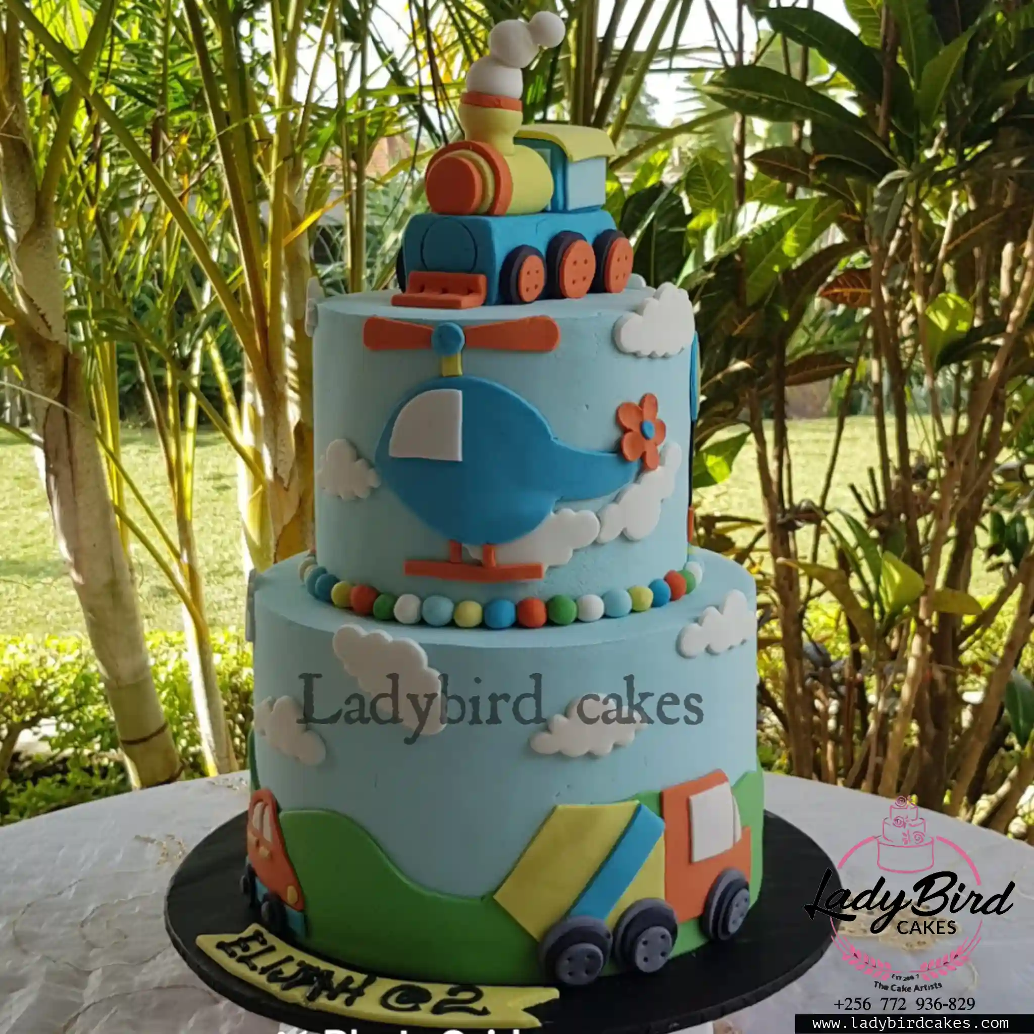 This is a custom cake of Ladybird Cakes Uganda