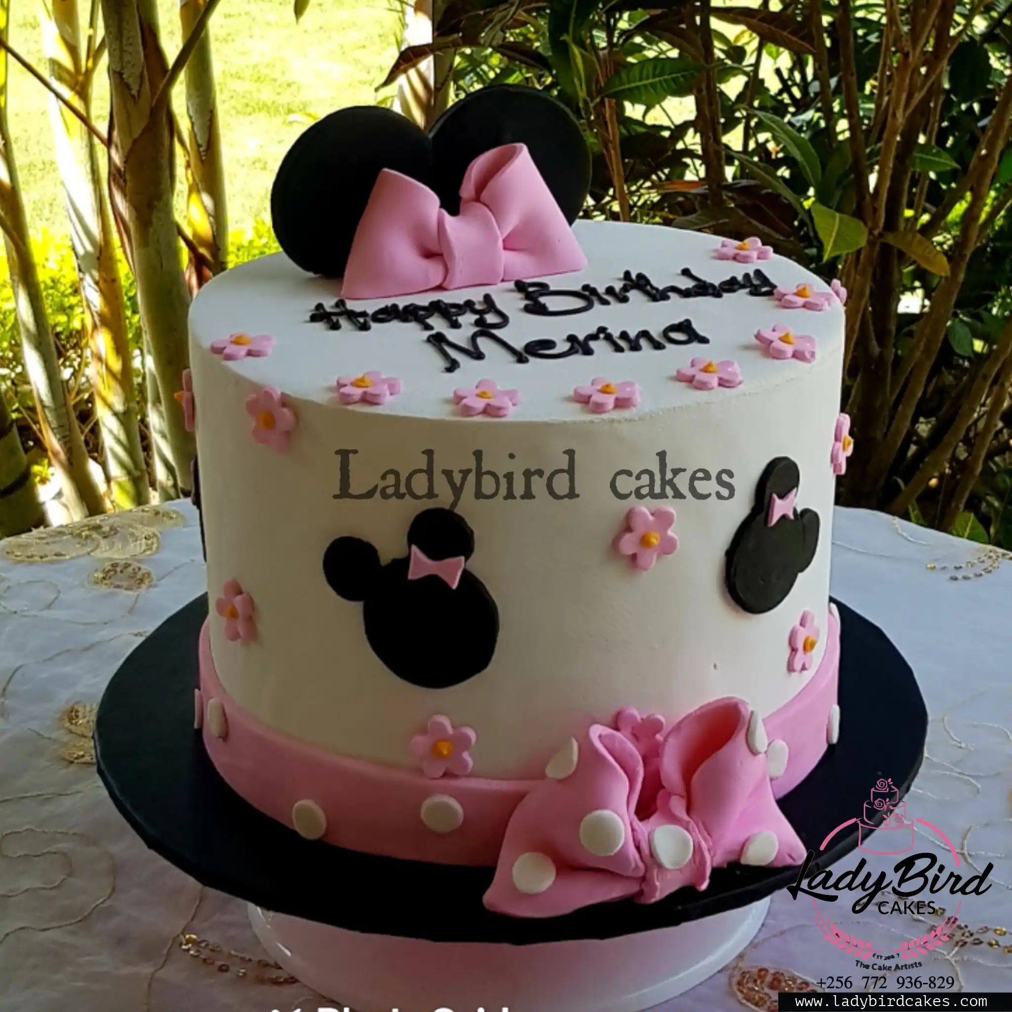 This is a custom cake of Ladybird Cakes Uganda