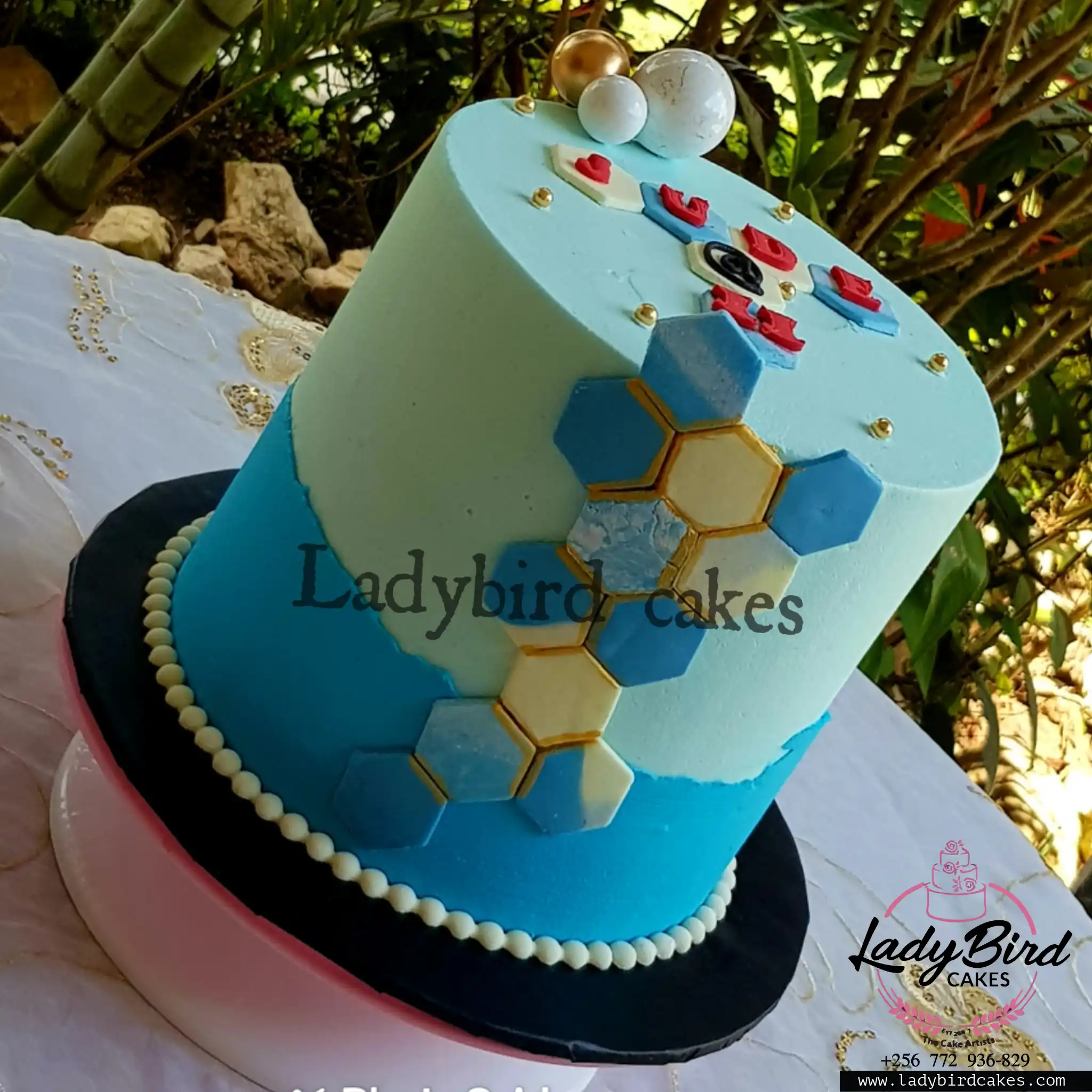 This is a custom cake of Ladybird Cakes Uganda