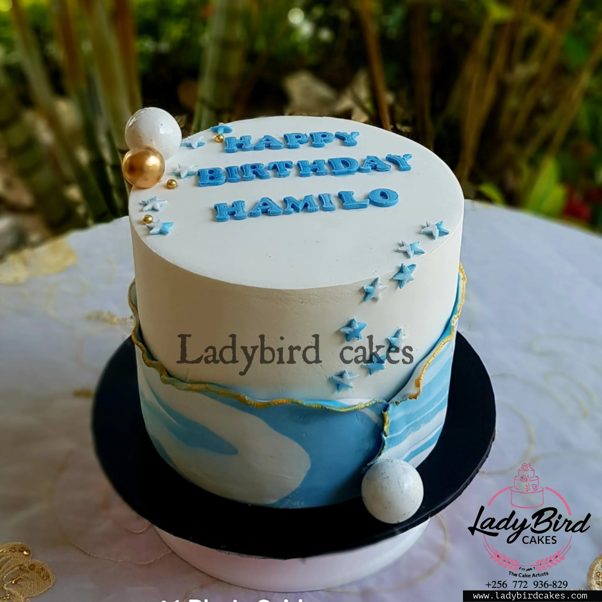 This is a custom cake of Ladybird Cakes Uganda