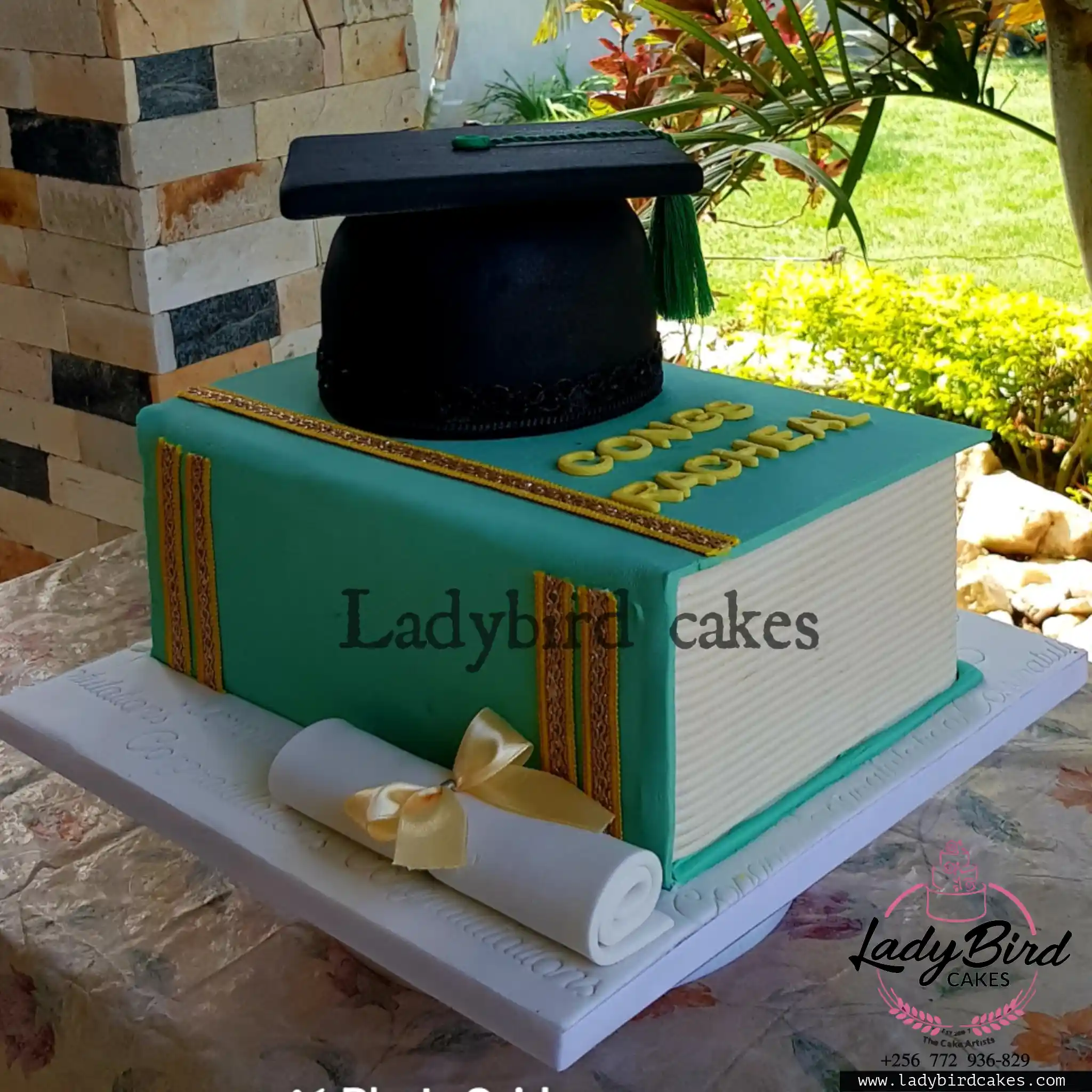 This is a custom cake of Ladybird Cakes Uganda