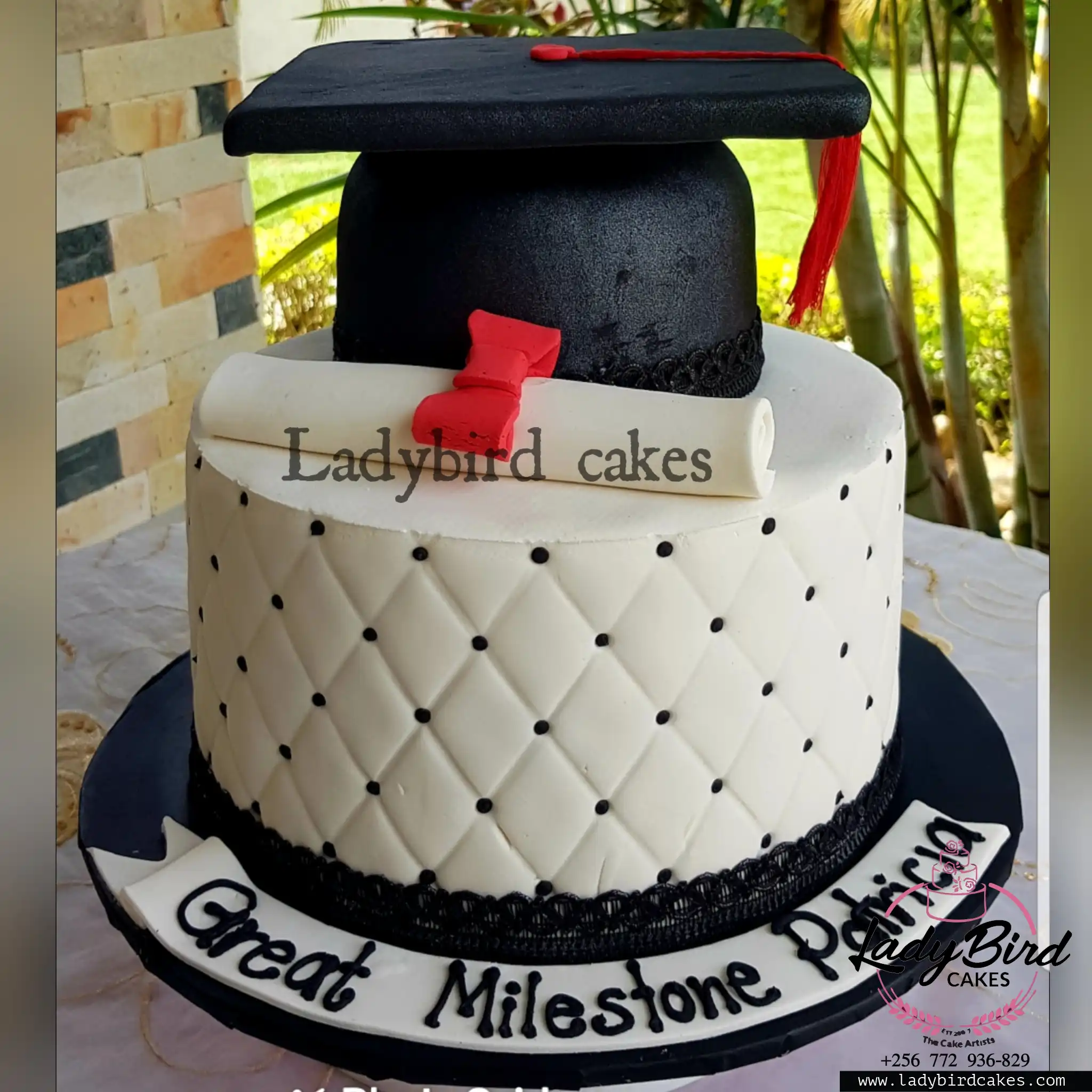 This is a custom cake of Ladybird Cakes Uganda