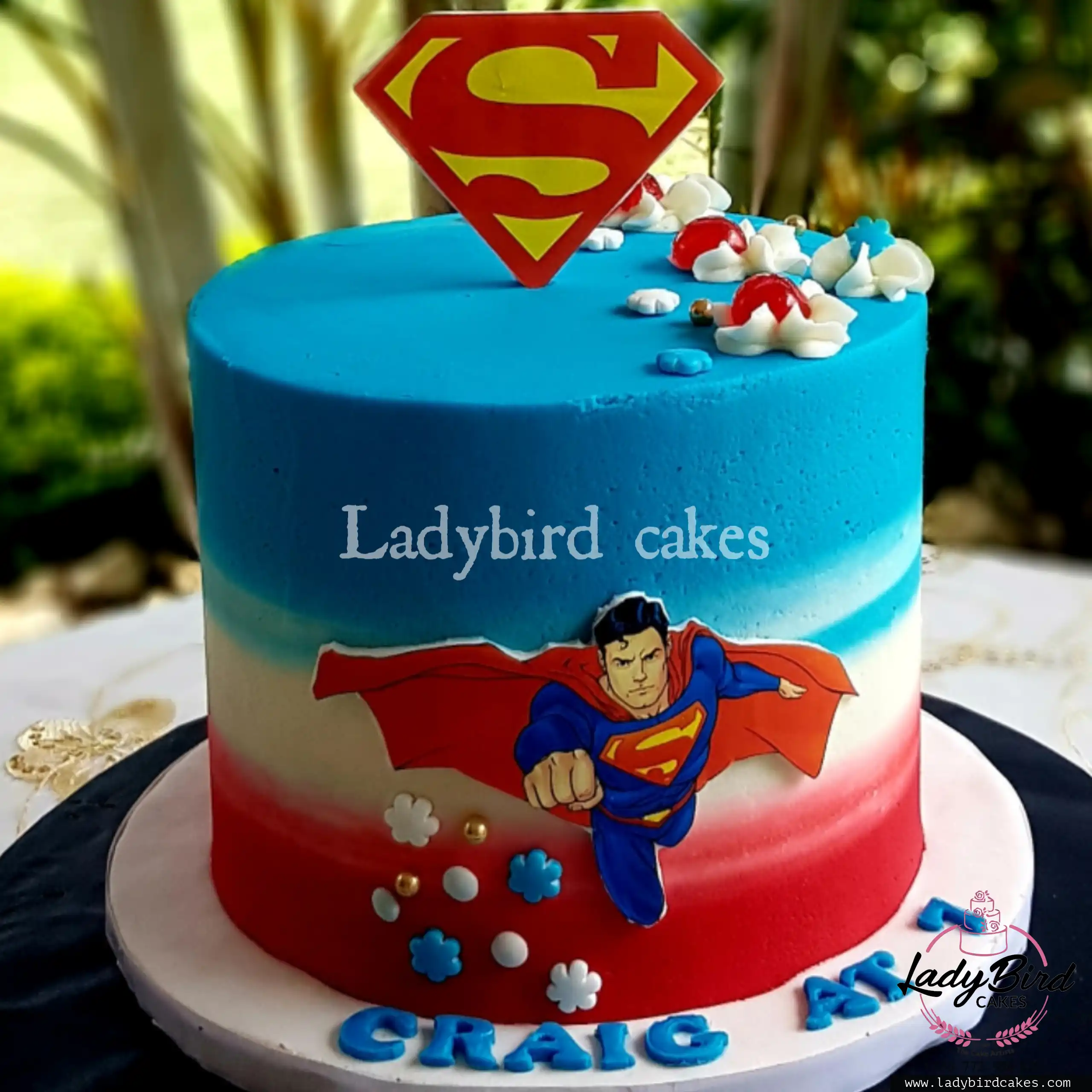 This is a custom cake of Ladybird Cakes Uganda