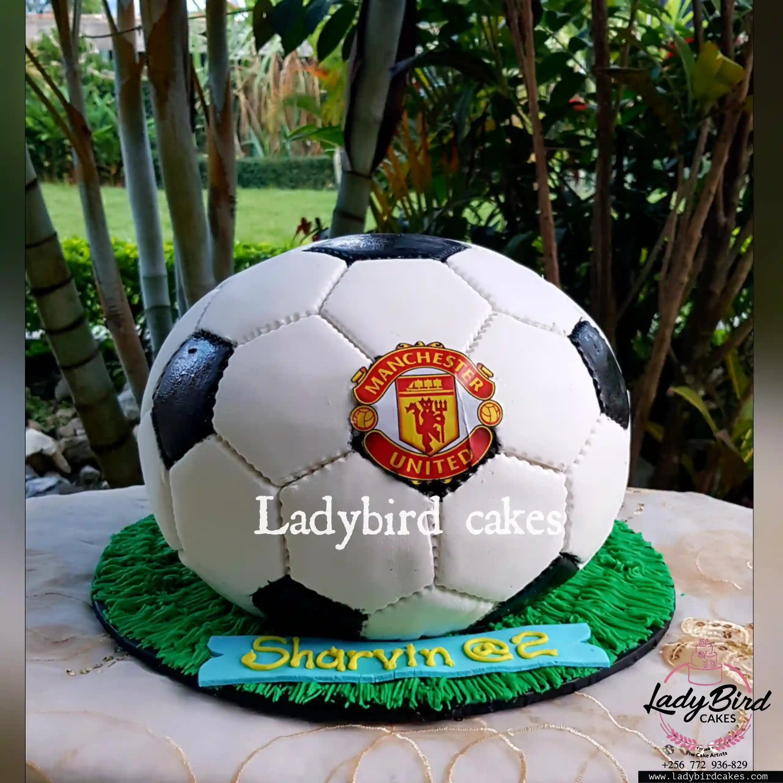 This is a custom cake of Ladybird Cakes Uganda