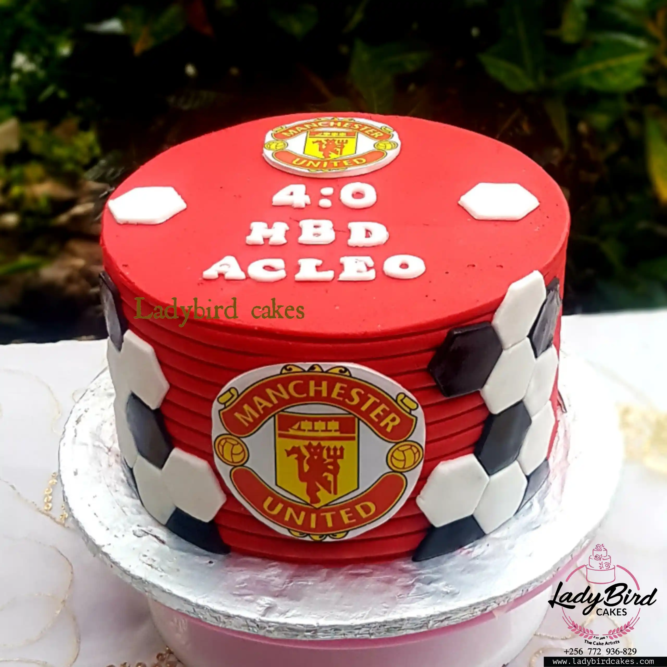 This is a custom cake of Ladybird Cakes Uganda