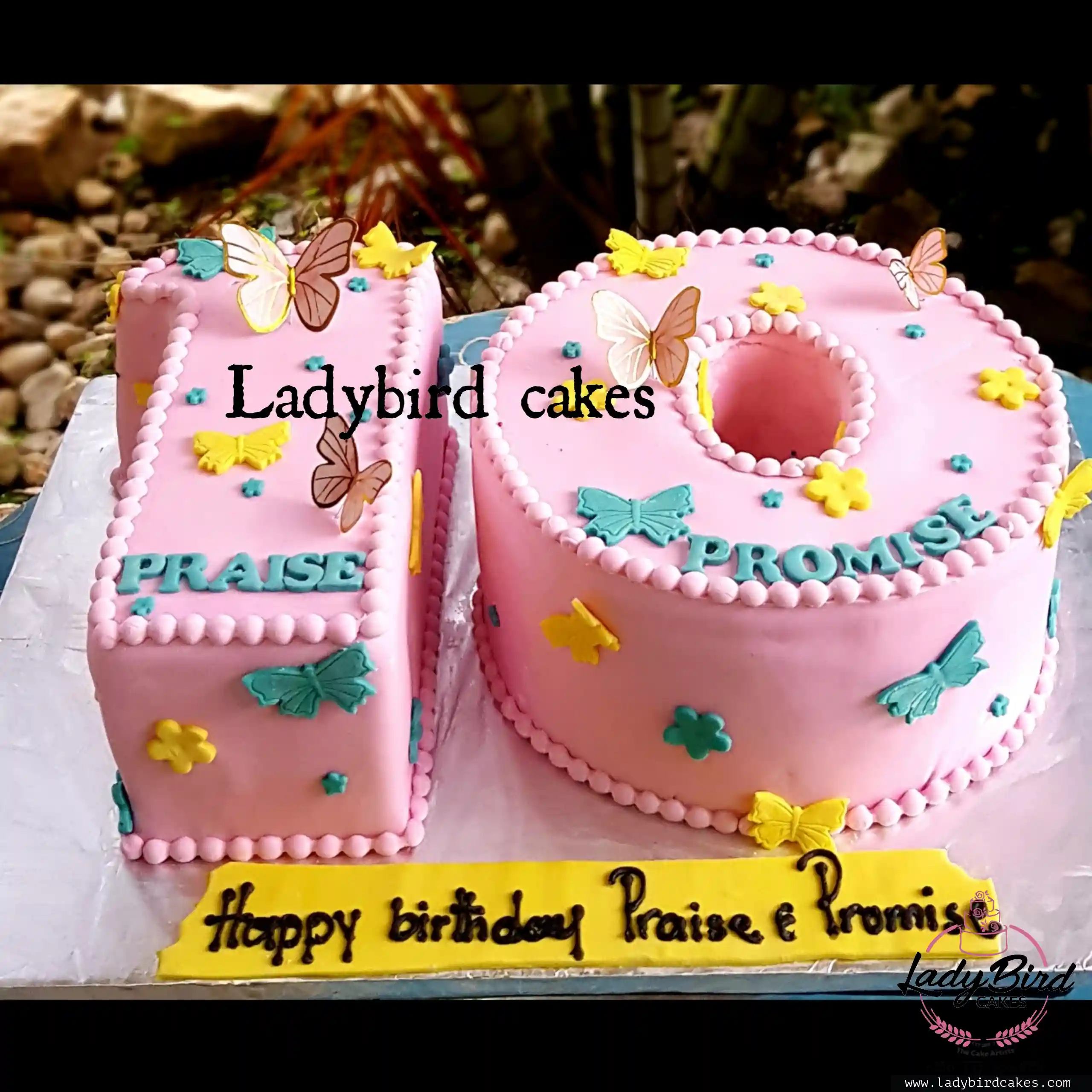 This is a custom cake of Ladybird Cakes Uganda