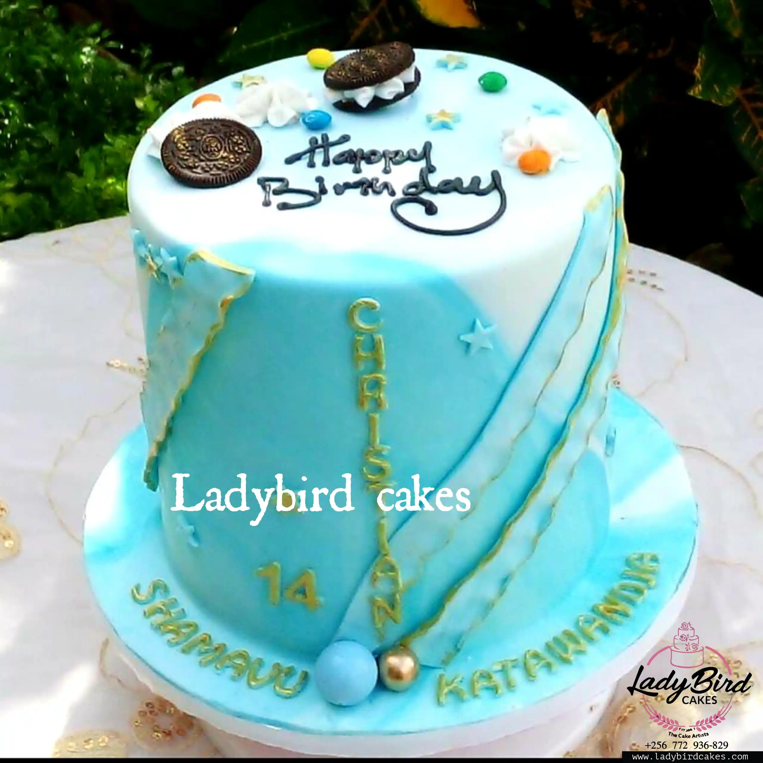 This is a custom cake of Ladybird Cakes Uganda