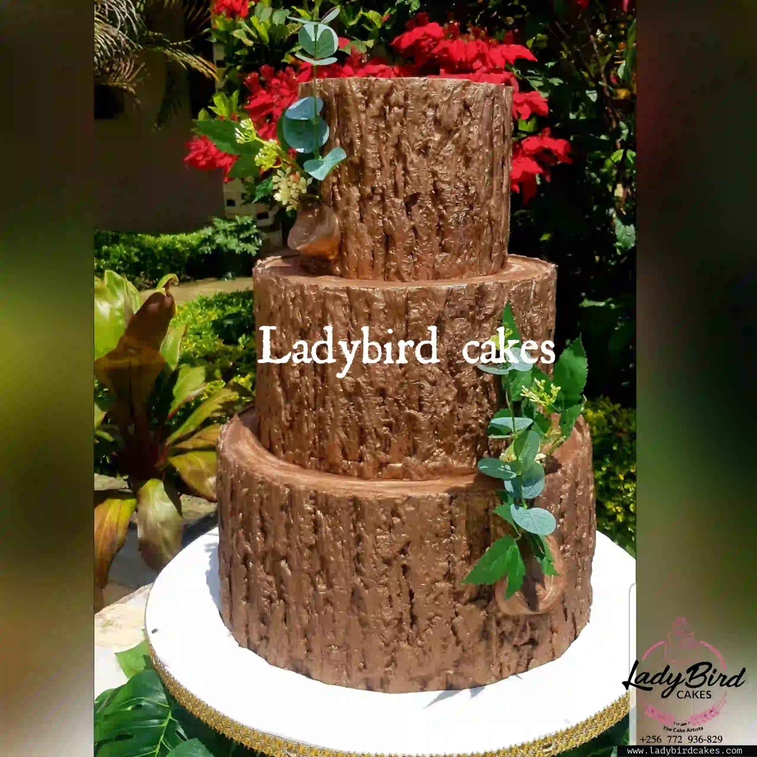 This is a custom cake of Ladybird Cakes Uganda