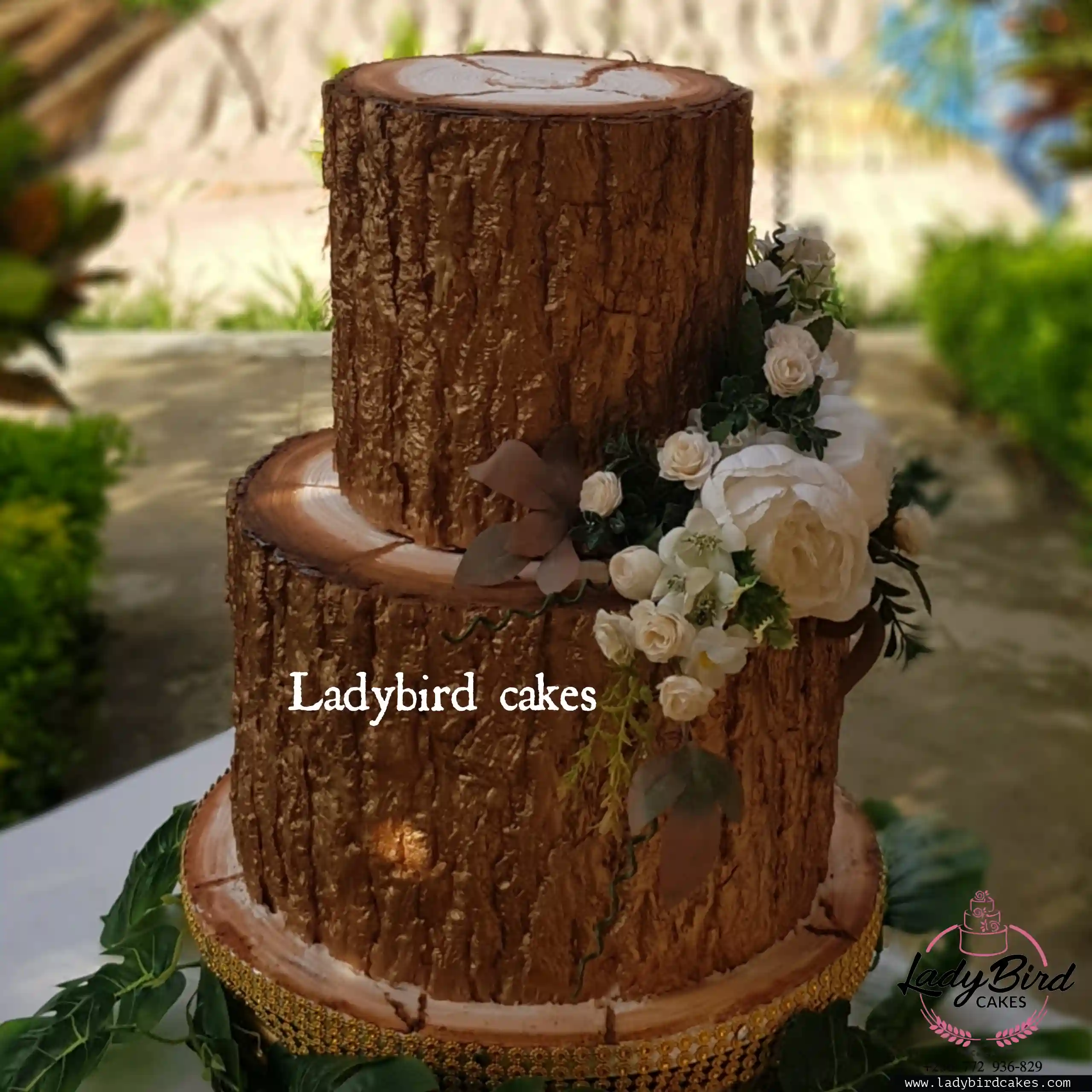 This is a custom cake of Ladybird Cakes Uganda