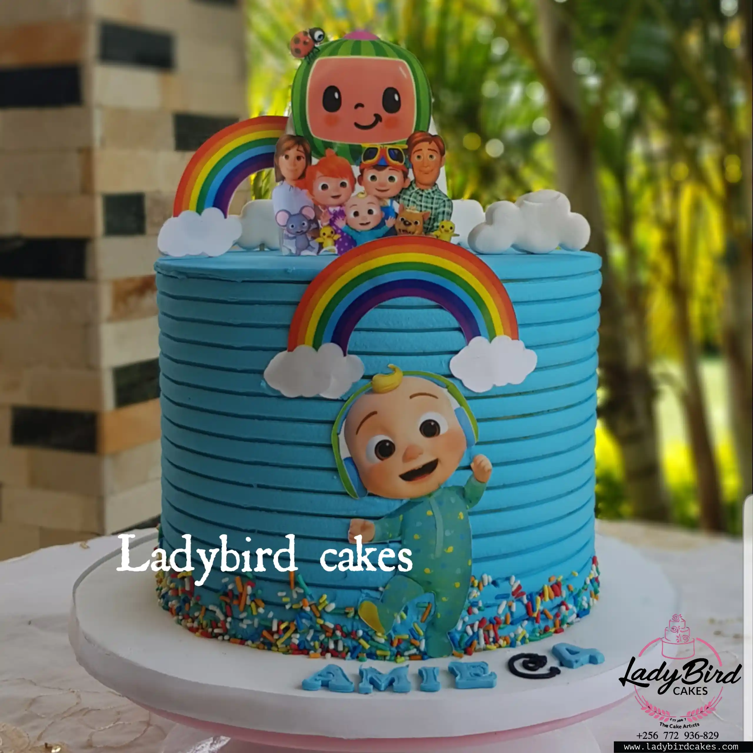 This is a custom cake of Ladybird Cakes Uganda