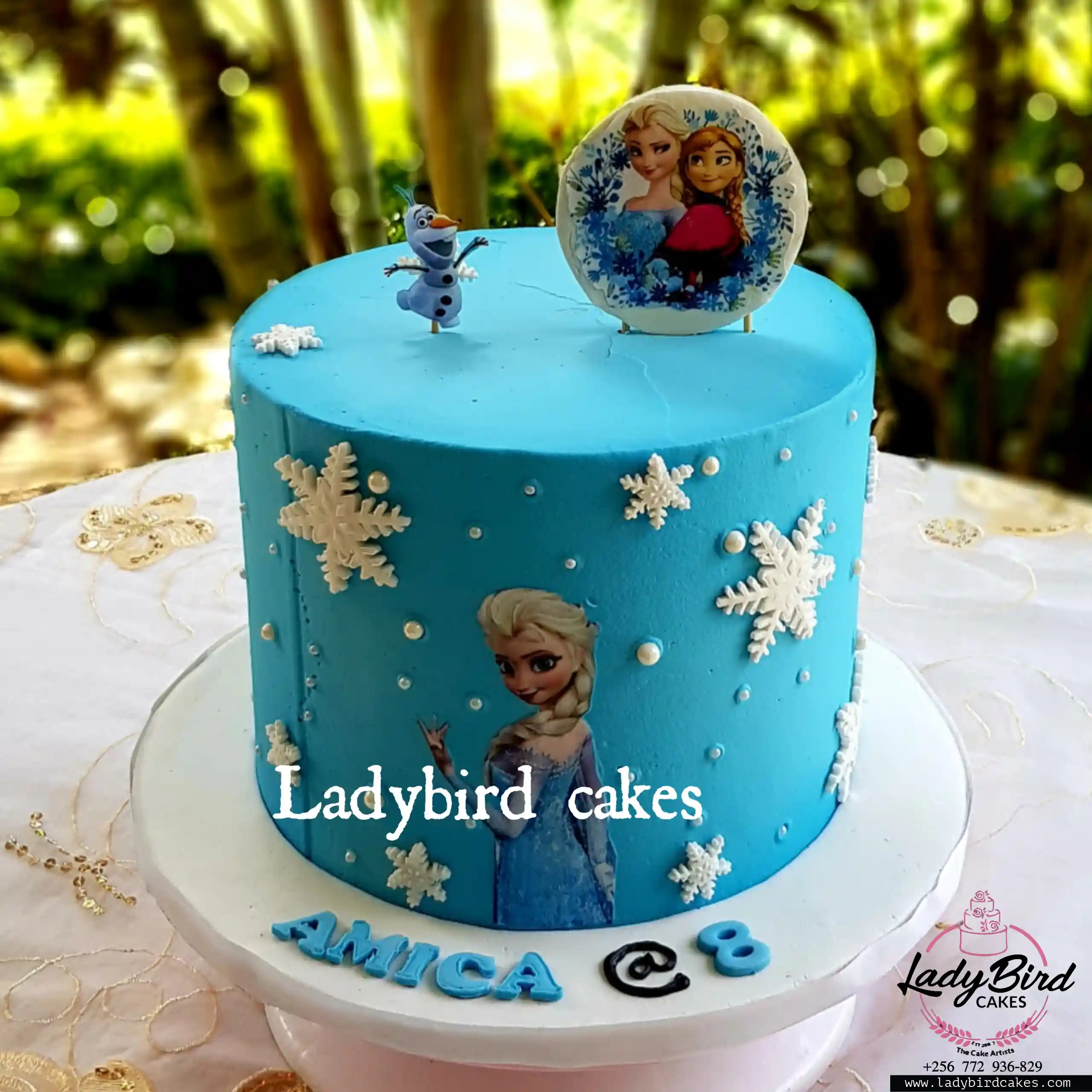 This is a custom cake of Ladybird Cakes Uganda