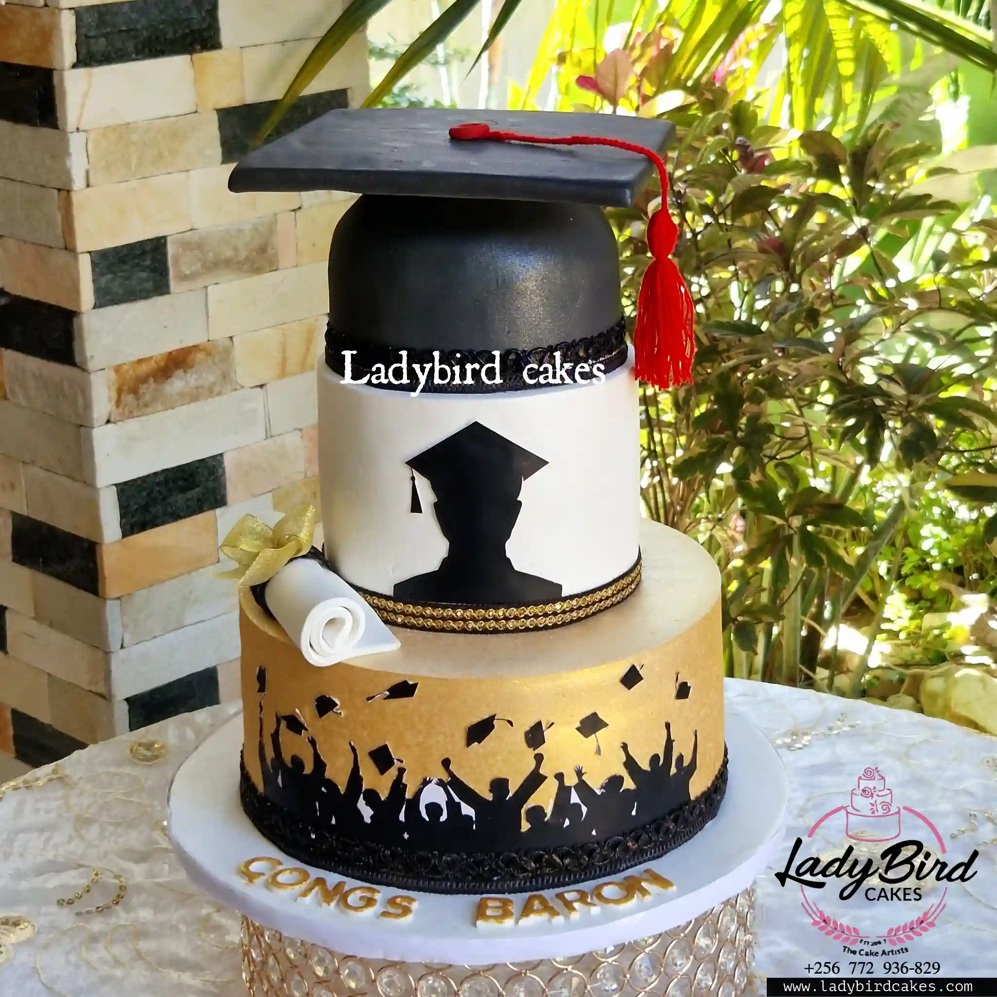 This is a custom cake of Ladybird Cakes Uganda