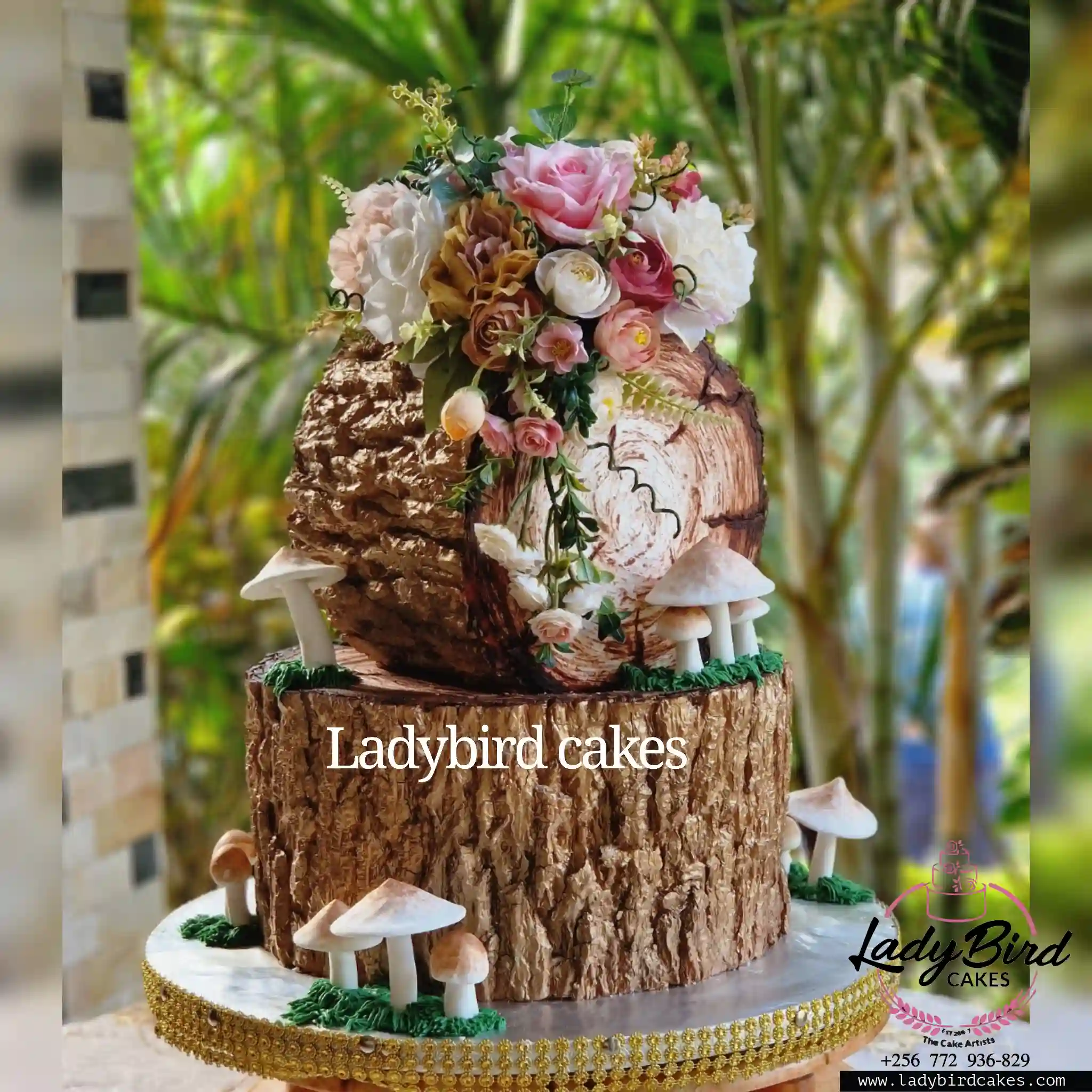 This is a custom cake of Ladybird Cakes Uganda